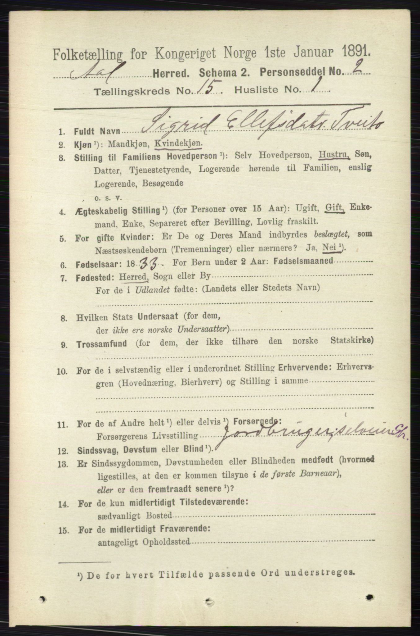 RA, 1891 census for 0619 Ål, 1891, p. 3755