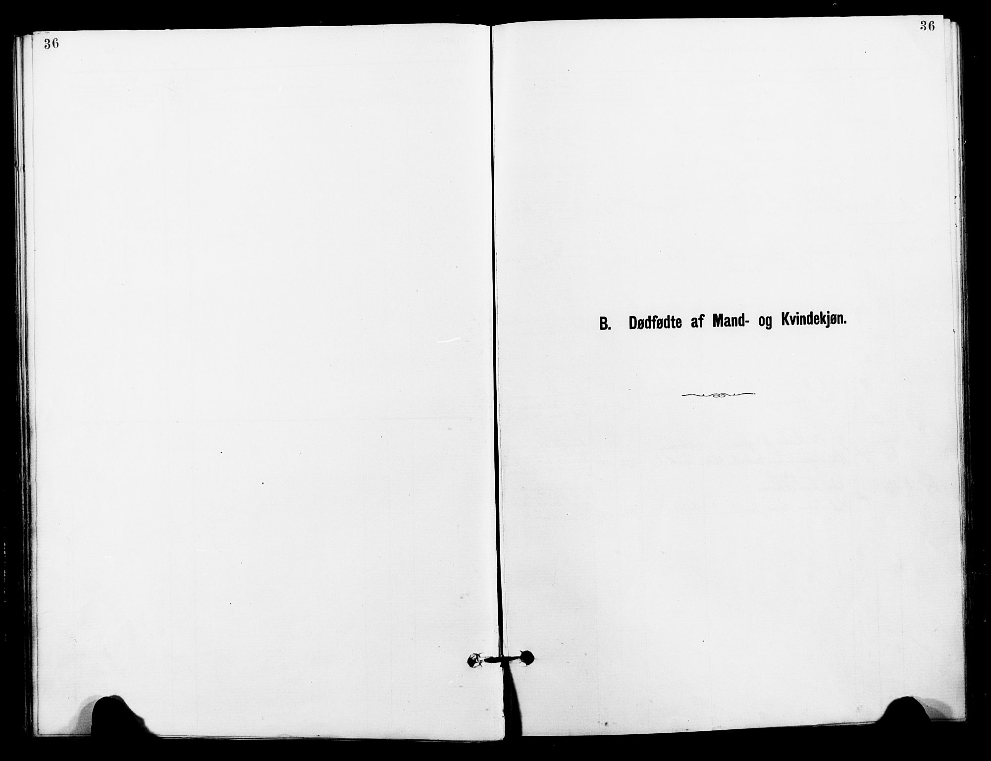 Målselv sokneprestembete, SATØ/S-1311/G/Ga/Gaa/L0006kirke: Parish register (official) no. 6, 1884-1902, p. 36