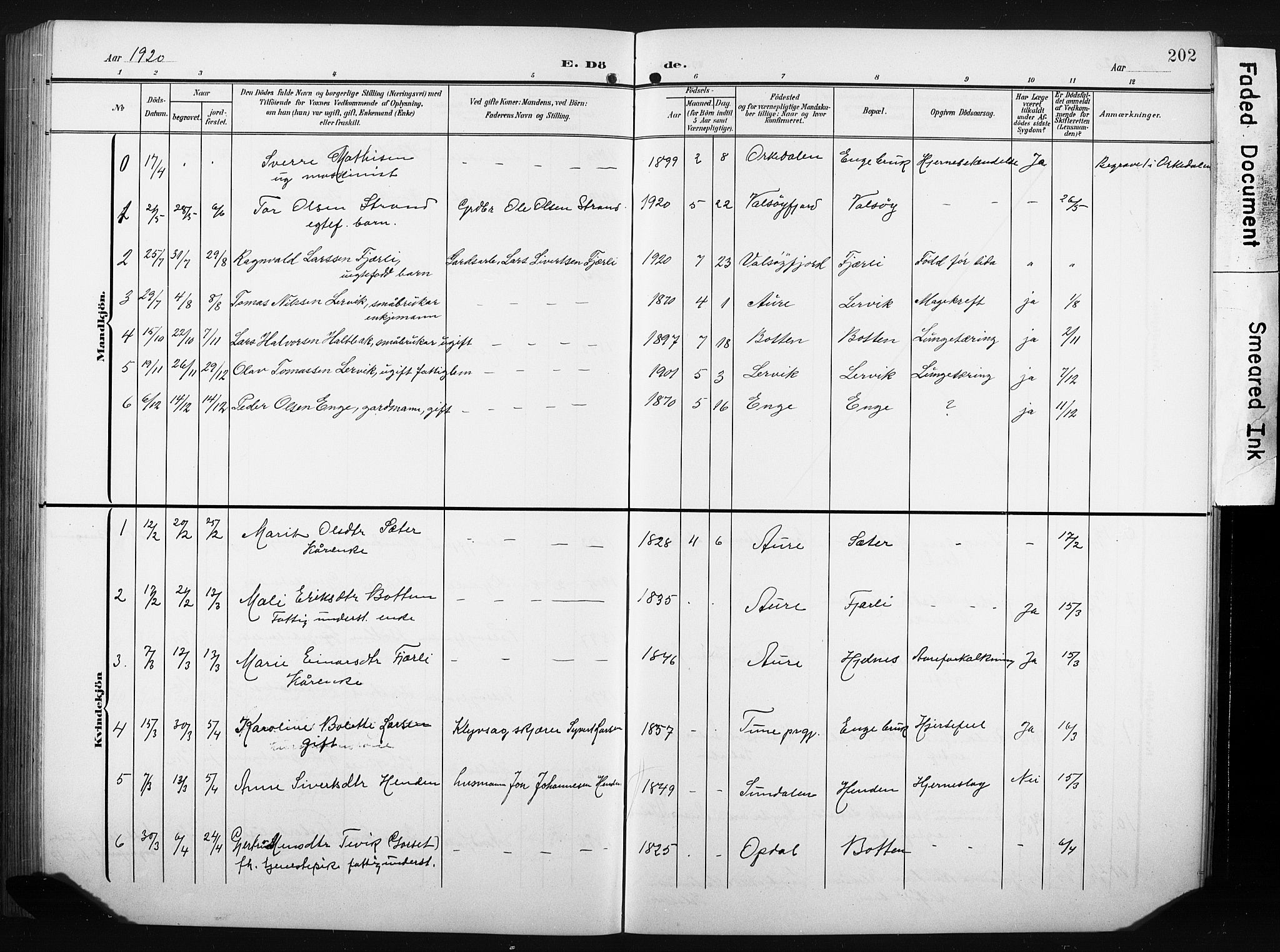 Ministerialprotokoller, klokkerbøker og fødselsregistre - Møre og Romsdal, AV/SAT-A-1454/580/L0927: Parish register (copy) no. 580C02, 1904-1932, p. 202