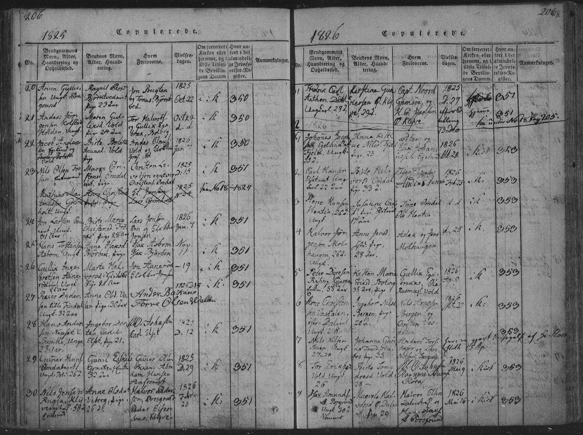 Solum kirkebøker, AV/SAKO-A-306/F/Fa/L0004: Parish register (official) no. I 4, 1814-1833, p. 206