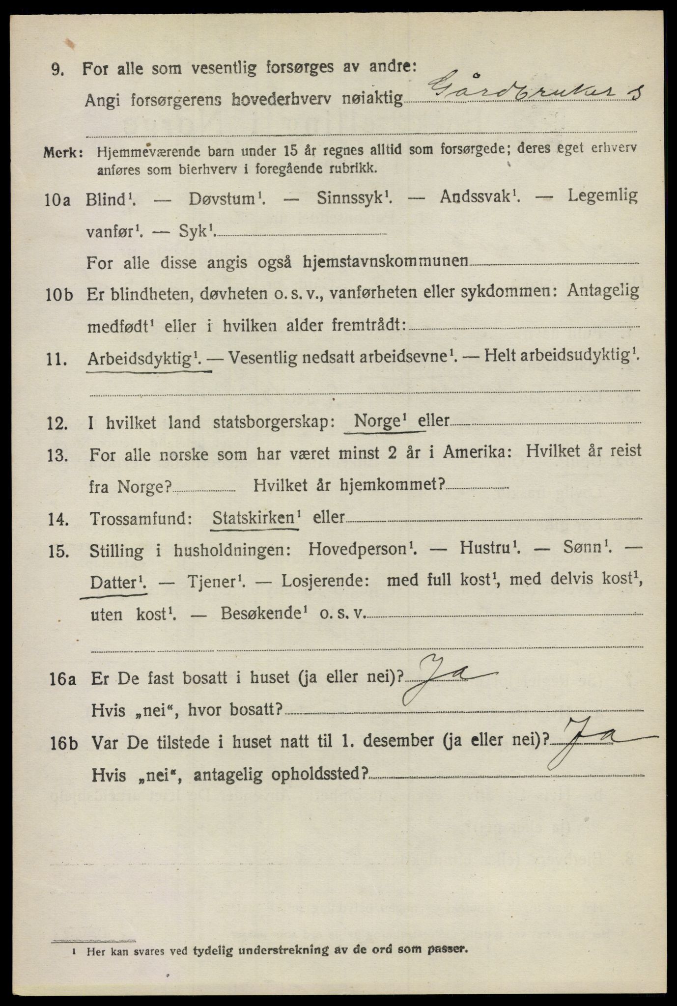 SAO, 1920 census for Nes, 1920, p. 6617