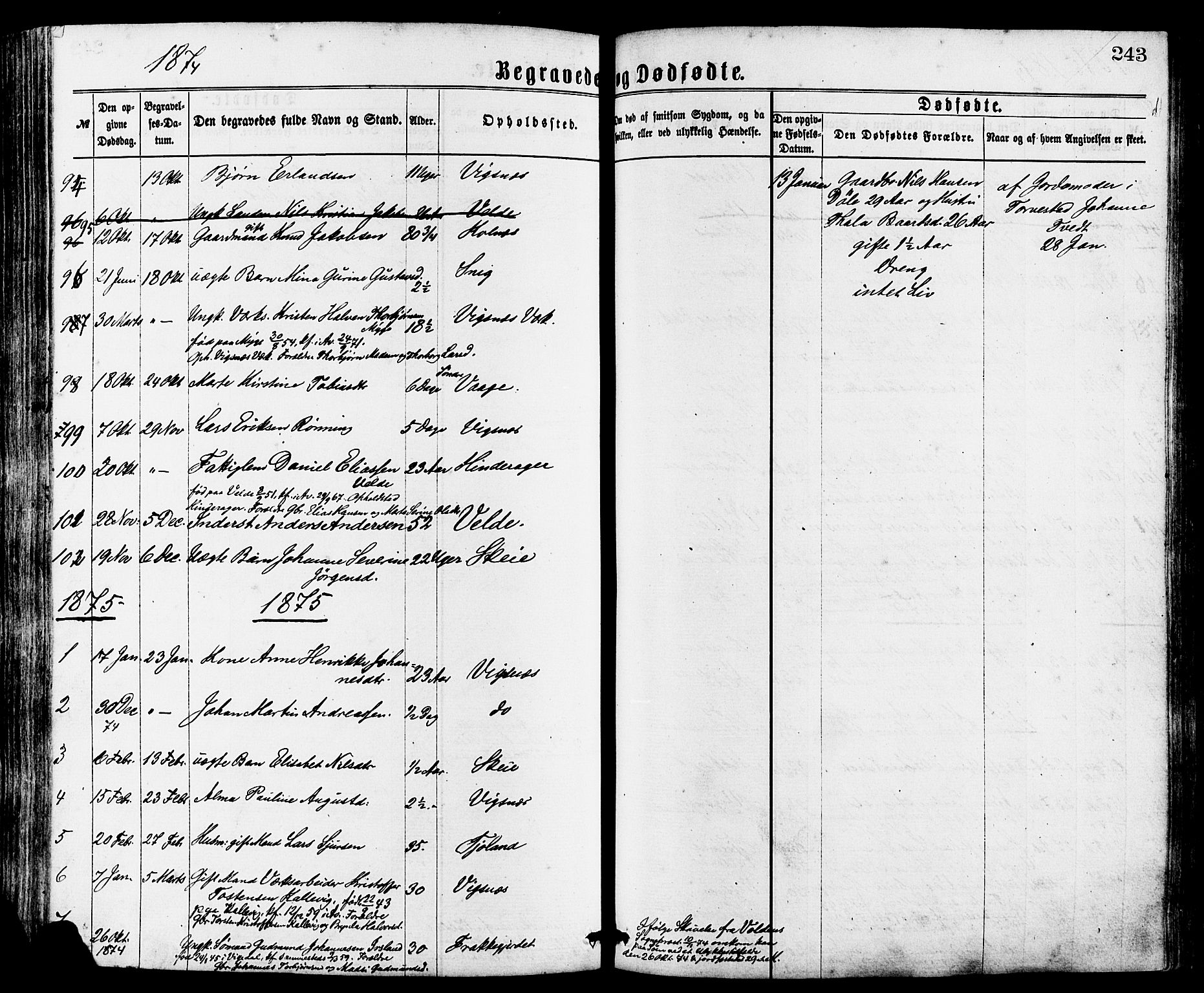 Avaldsnes sokneprestkontor, SAST/A -101851/H/Ha/Haa/L0012: Parish register (official) no. A 12, 1865-1880, p. 243
