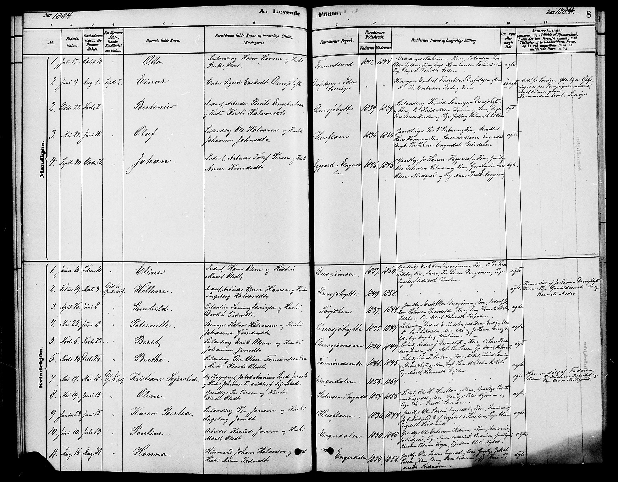 Rendalen prestekontor, AV/SAH-PREST-054/H/Ha/Haa/L0007: Parish register (official) no. 7, 1878-1898, p. 8