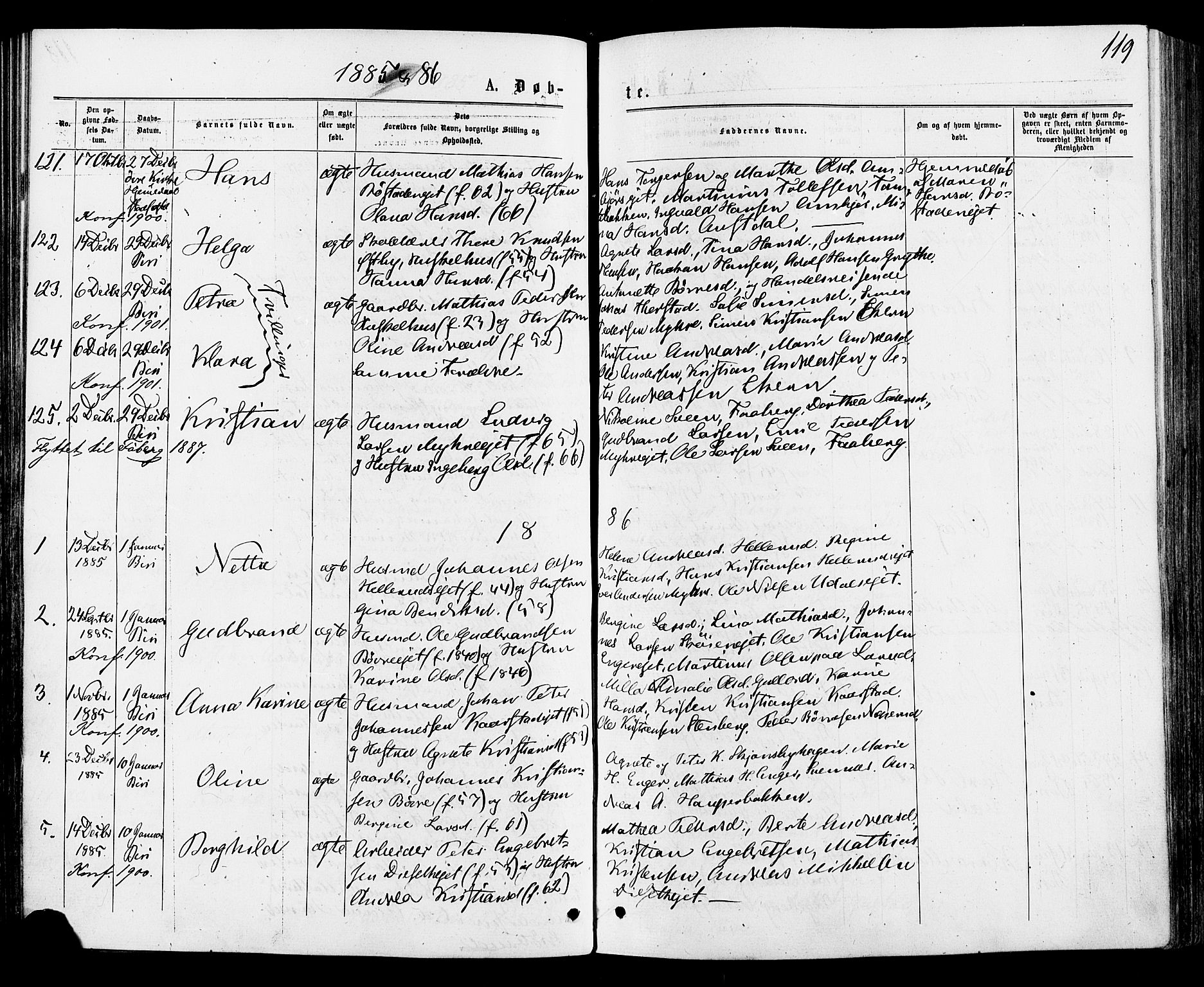 Biri prestekontor, SAH/PREST-096/H/Ha/Haa/L0006: Parish register (official) no. 6, 1877-1886, p. 119