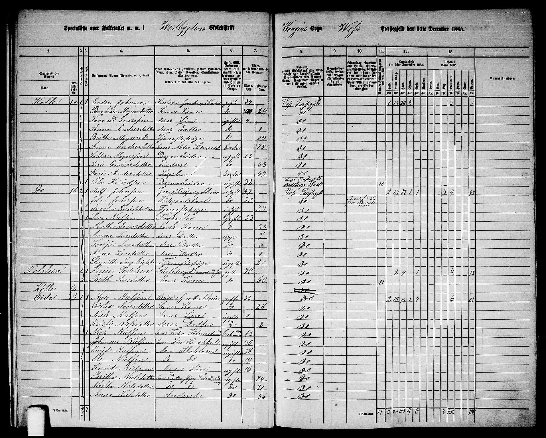 RA, 1865 census for Voss, 1865, p. 14