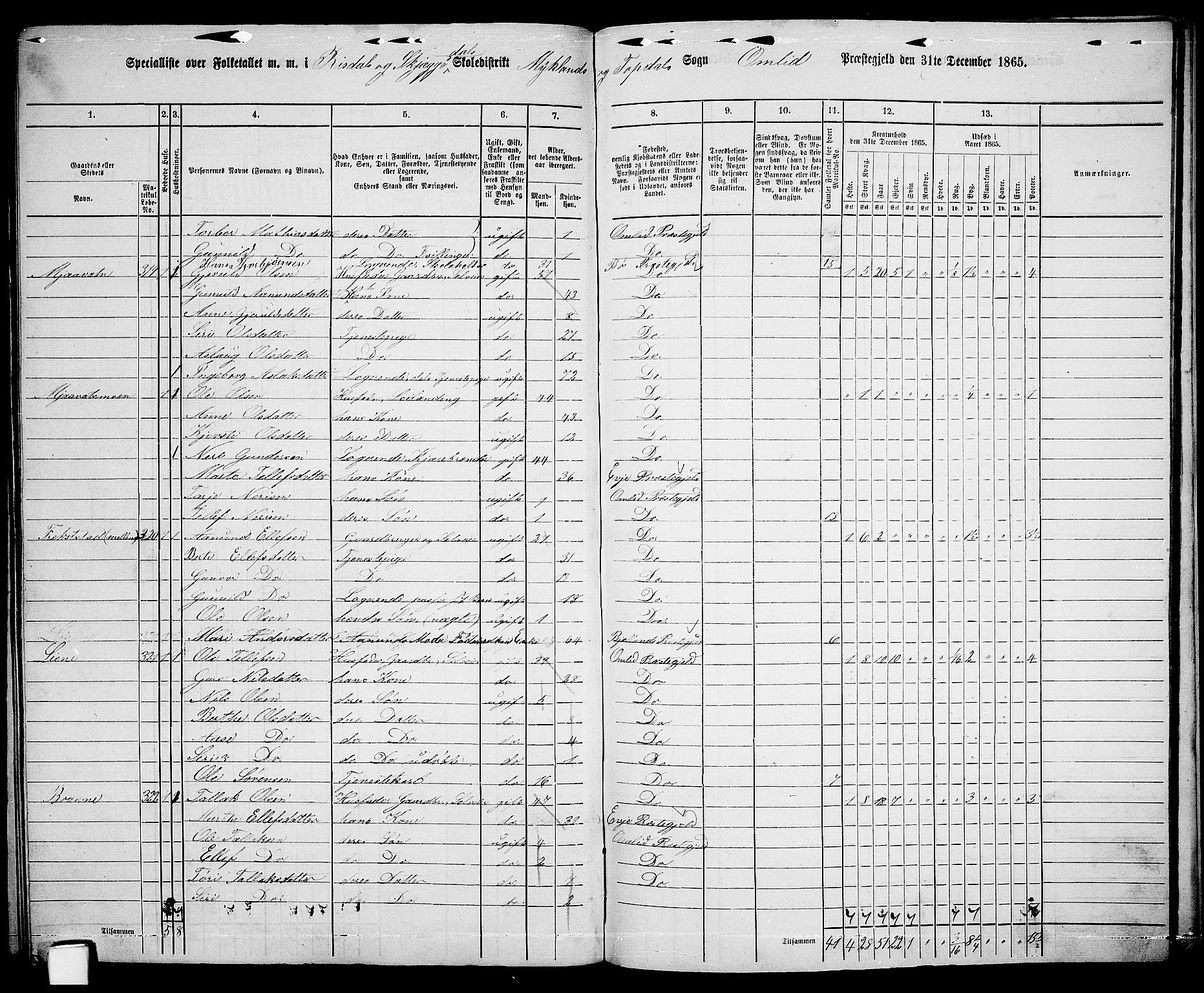 RA, 1865 census for Åmli, 1865, p. 101