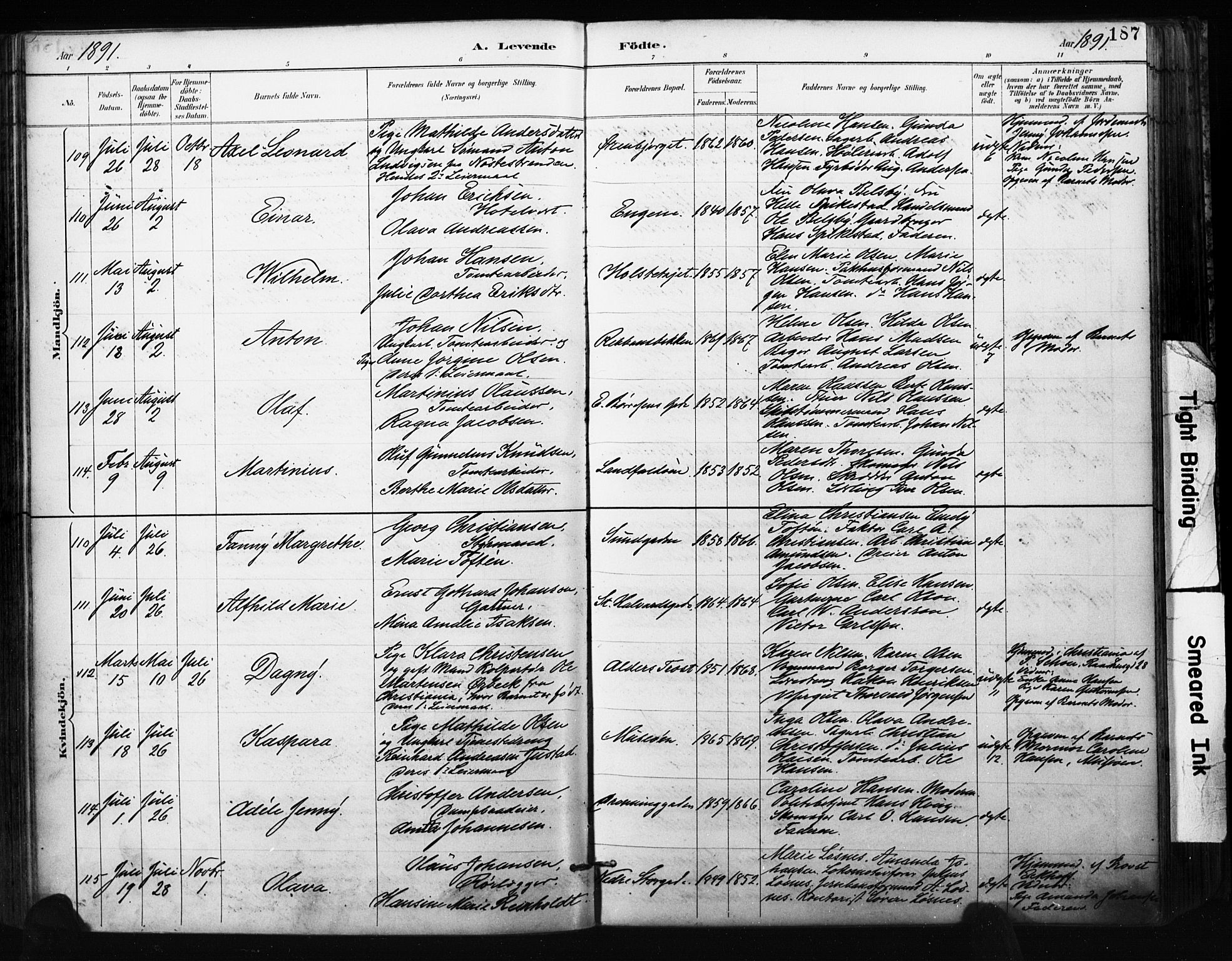 Bragernes kirkebøker, AV/SAKO-A-6/F/Fb/L0007: Parish register (official) no. II 7, 1885-1893, p. 187