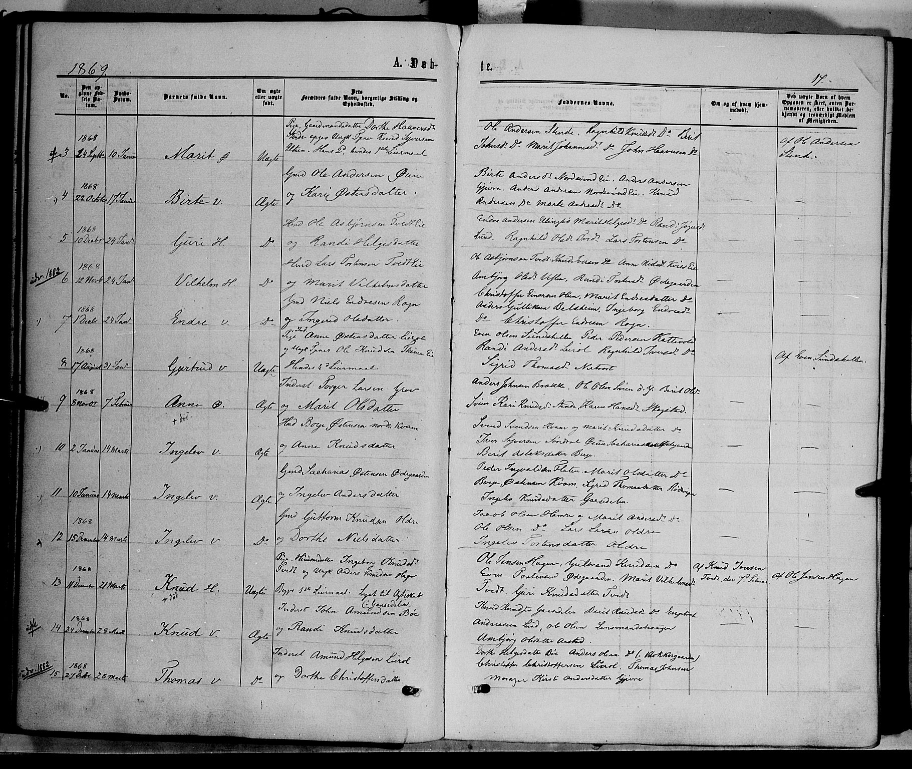 Vang prestekontor, Valdres, SAH/PREST-140/H/Ha/L0007: Parish register (official) no. 7, 1865-1881, p. 17