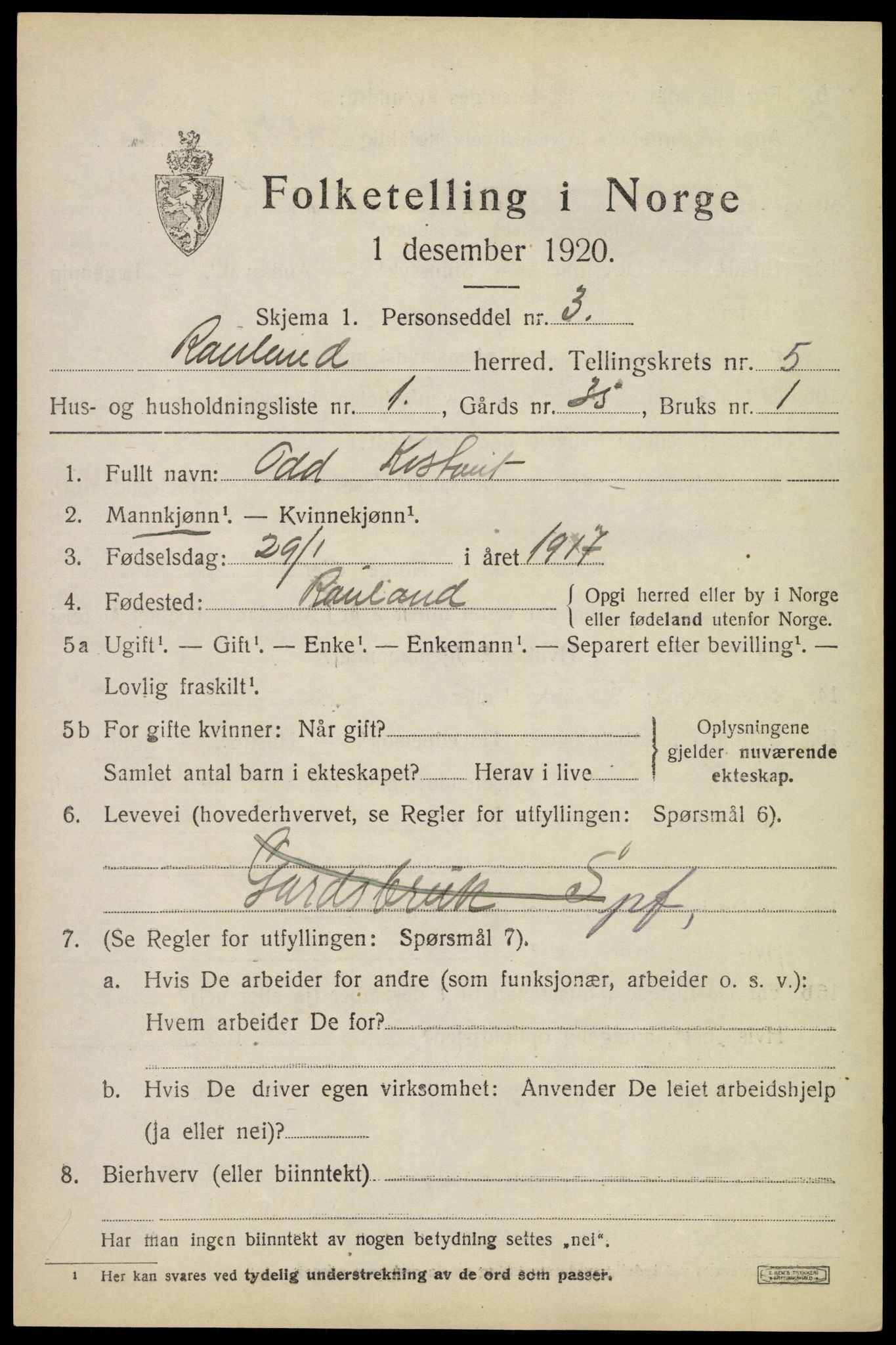 SAKO, 1920 census for Rauland, 1920, p. 1014