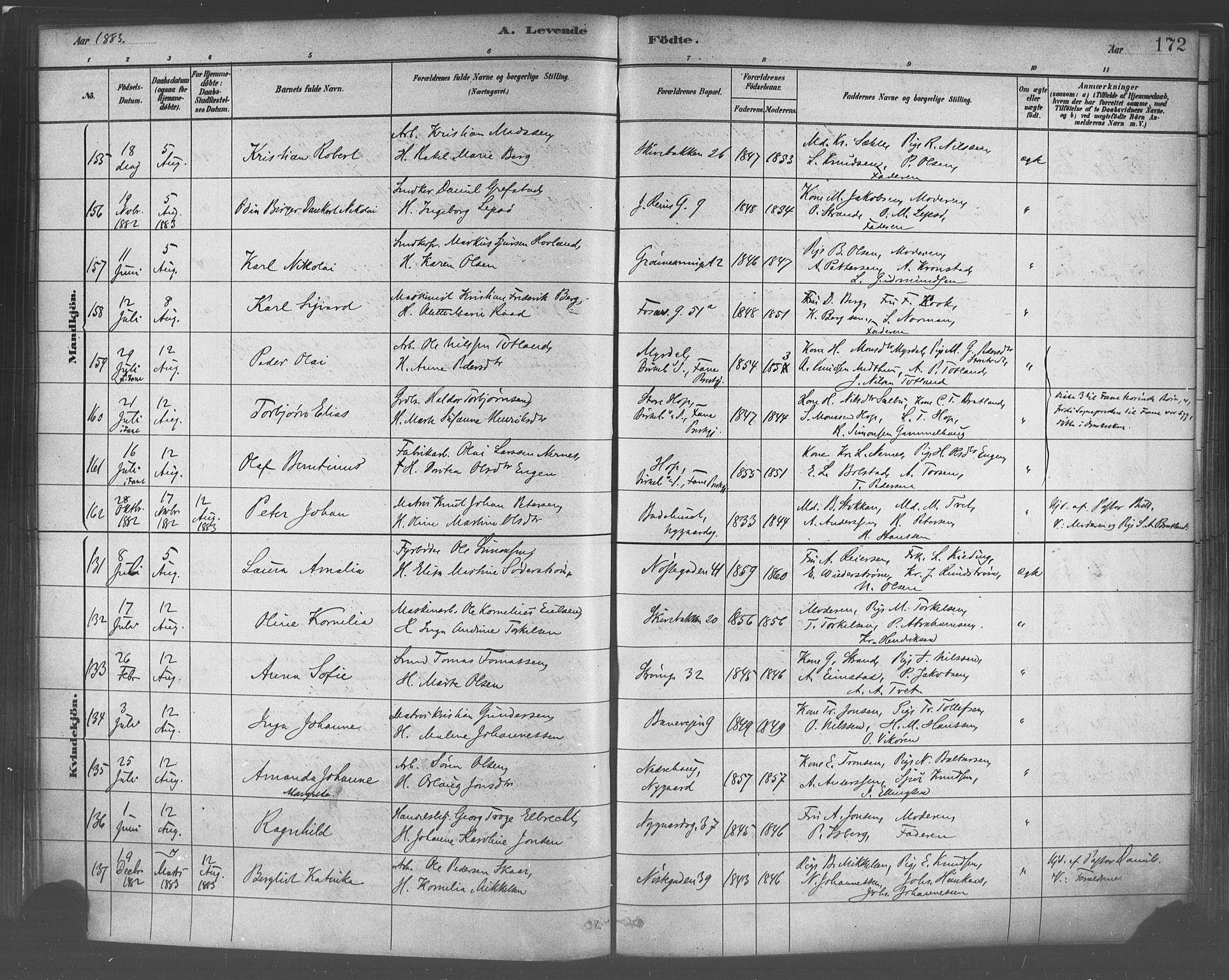 Domkirken sokneprestembete, SAB/A-74801/H/Haa/L0023: Parish register (official) no. B 6, 1879-1887, p. 172