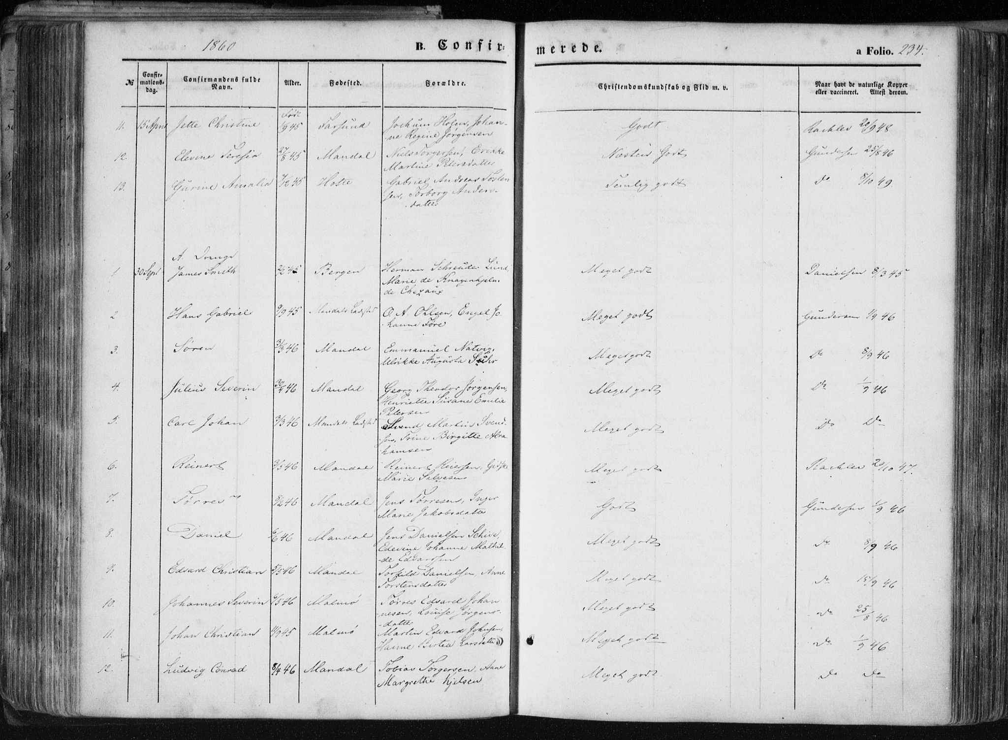 Mandal sokneprestkontor, AV/SAK-1111-0030/F/Fa/Faa/L0014: Parish register (official) no. A 14, 1859-1872, p. 234