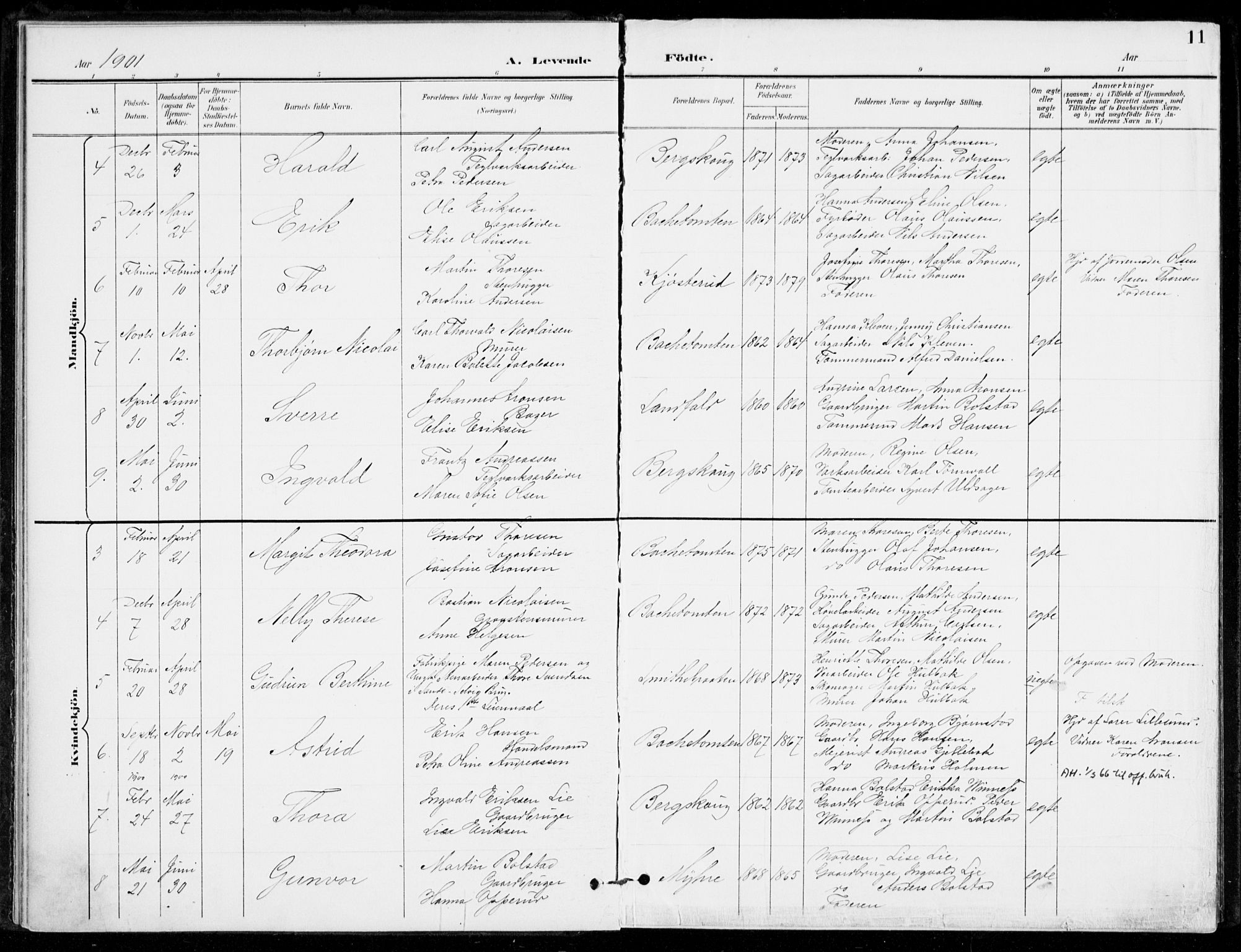 Åssiden kirkebøker, SAKO/A-251/F/Fa/L0002: Parish register (official) no. 2, 1896-1916, p. 11
