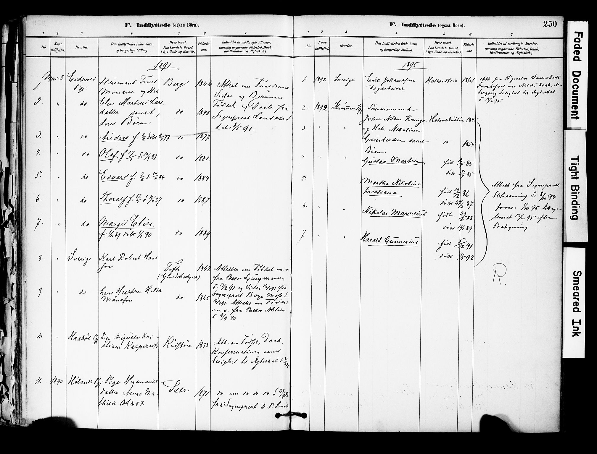 Hurum kirkebøker, SAKO/A-229/F/Fa/L0014: Parish register (official) no. 14, 1882-1895, p. 250