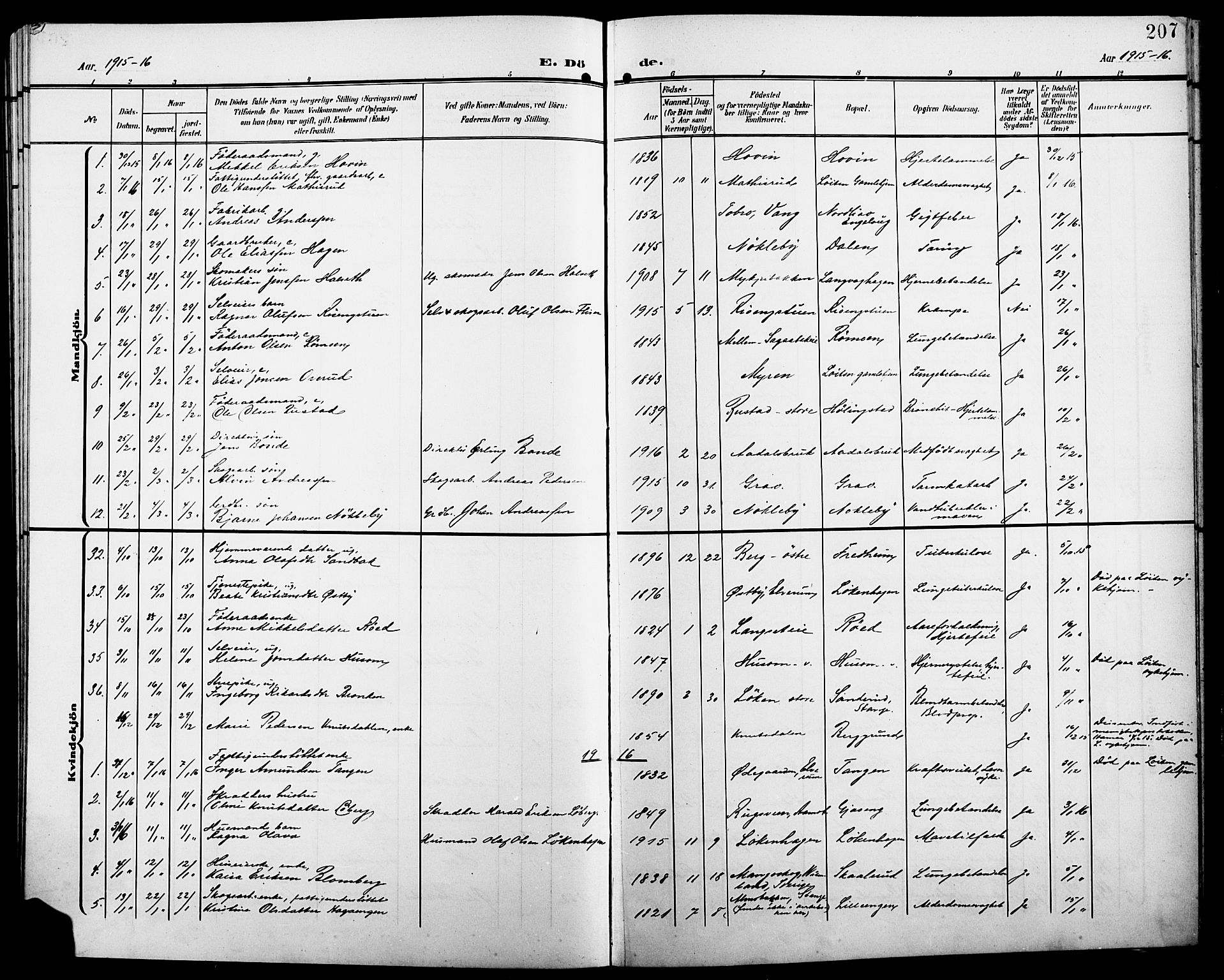 Løten prestekontor, SAH/PREST-022/L/La/L0007: Parish register (copy) no. 7, 1910-1919, p. 207