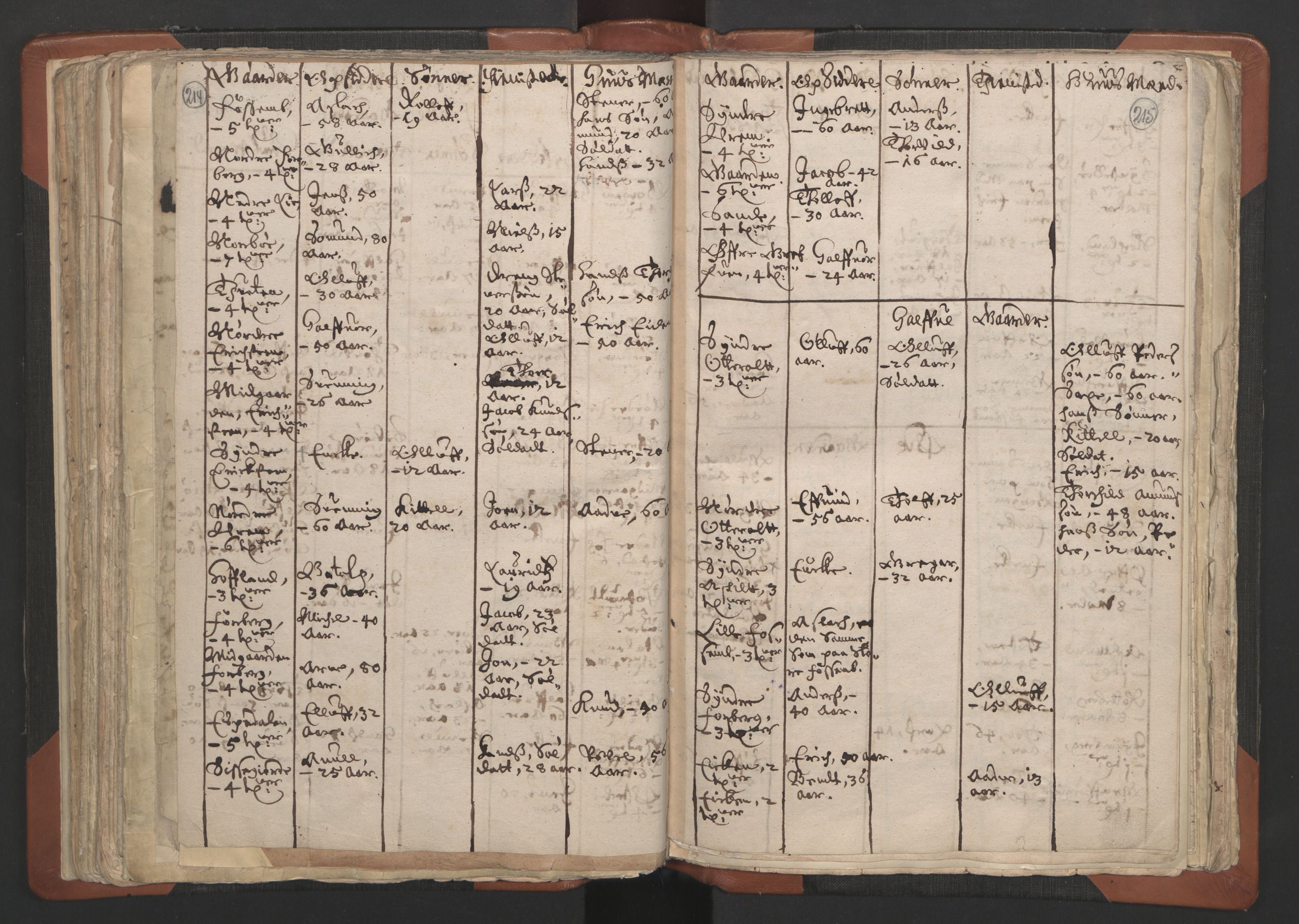 RA, Vicar's Census 1664-1666, no. 12: Øvre Telemark deanery, Nedre Telemark deanery and Bamble deanery, 1664-1666, p. 214-215