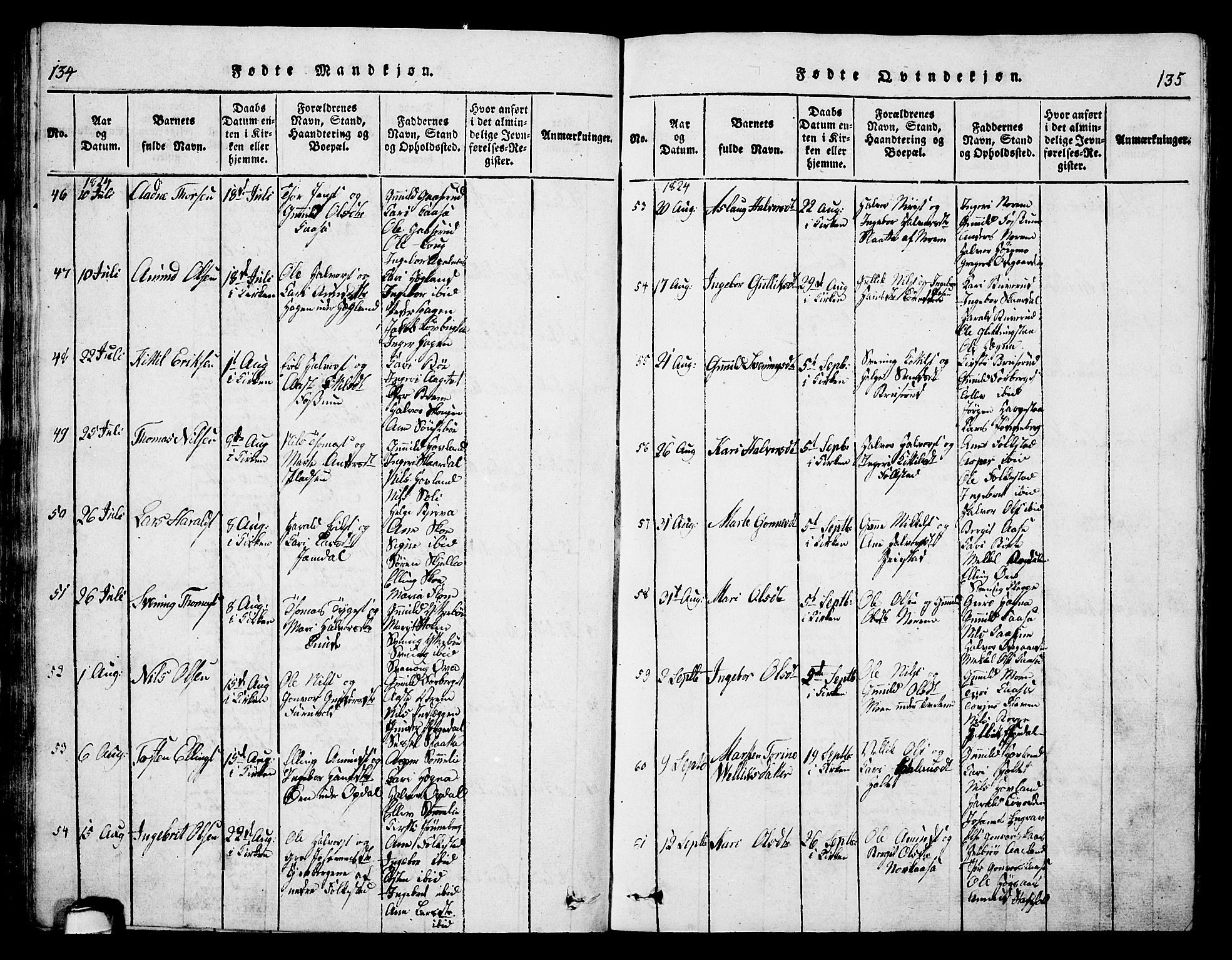 Bø kirkebøker, SAKO/A-257/G/Ga/L0001: Parish register (copy) no. 1, 1815-1831, p. 134-135