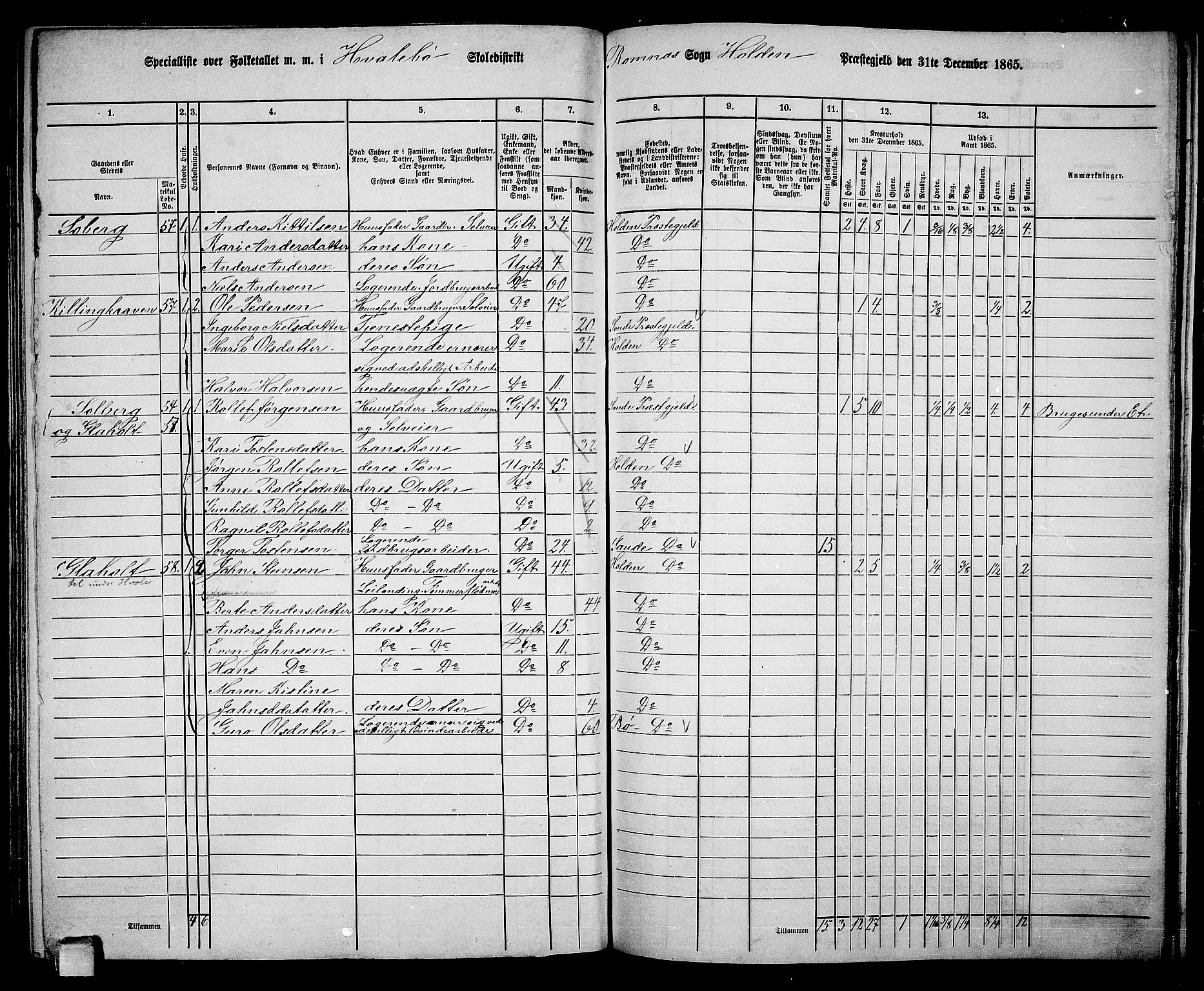 RA, 1865 census for Holla, 1865, p. 120