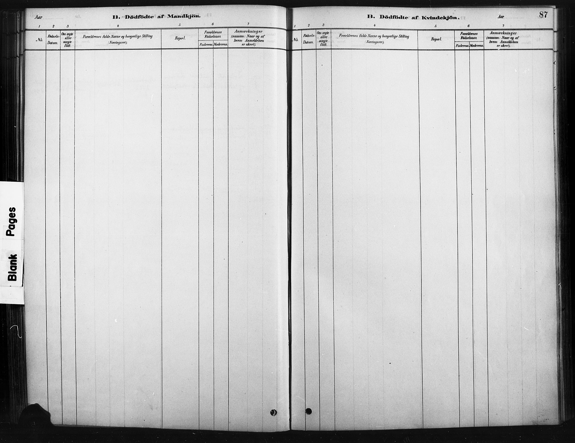 Rendalen prestekontor, SAH/PREST-054/H/Ha/Haa/L0010: Parish register (official) no. 10, 1878-1901, p. 87