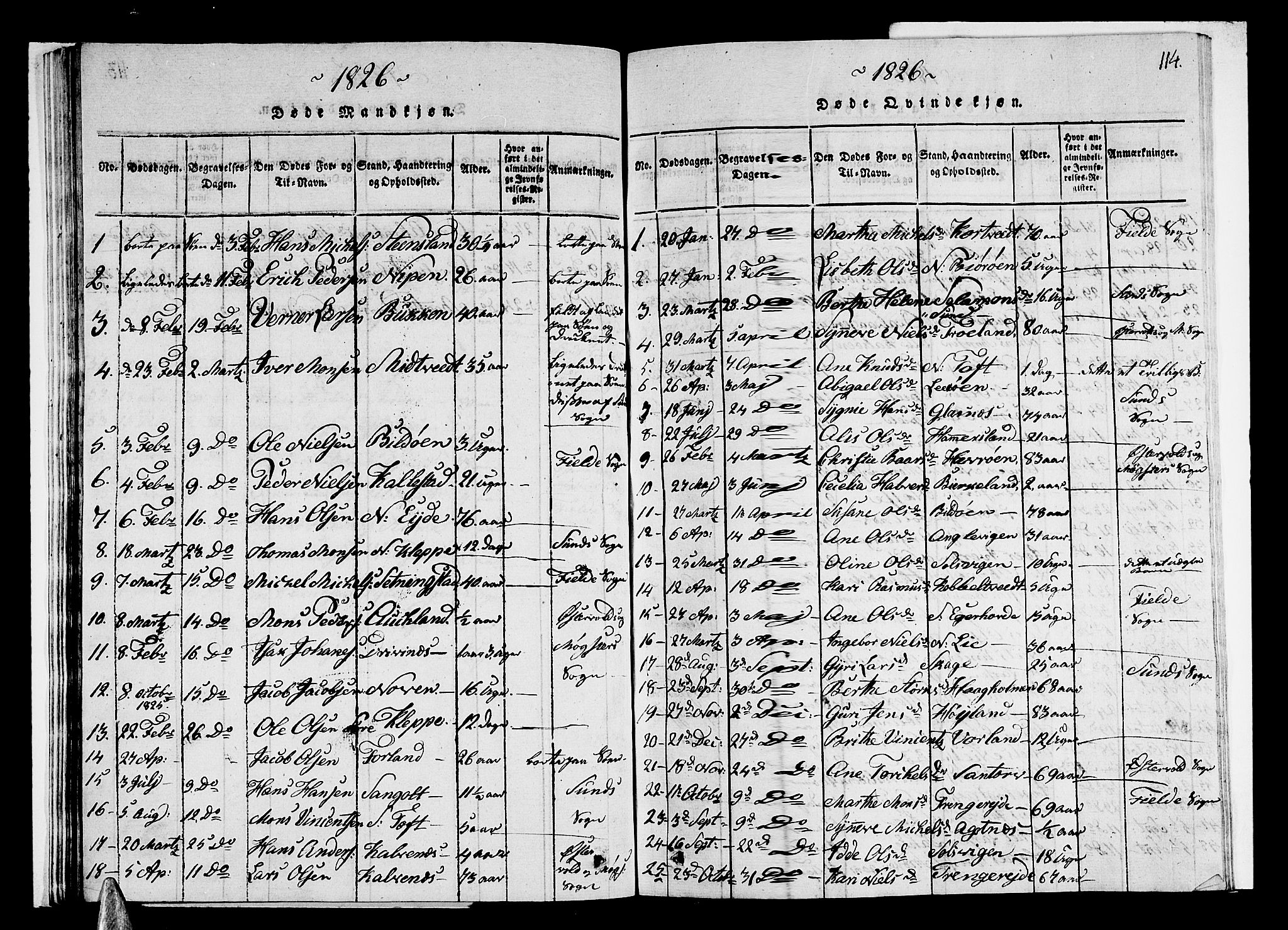 Sund sokneprestembete, AV/SAB-A-99930: Parish register (copy) no. A 1, 1816-1827, p. 114