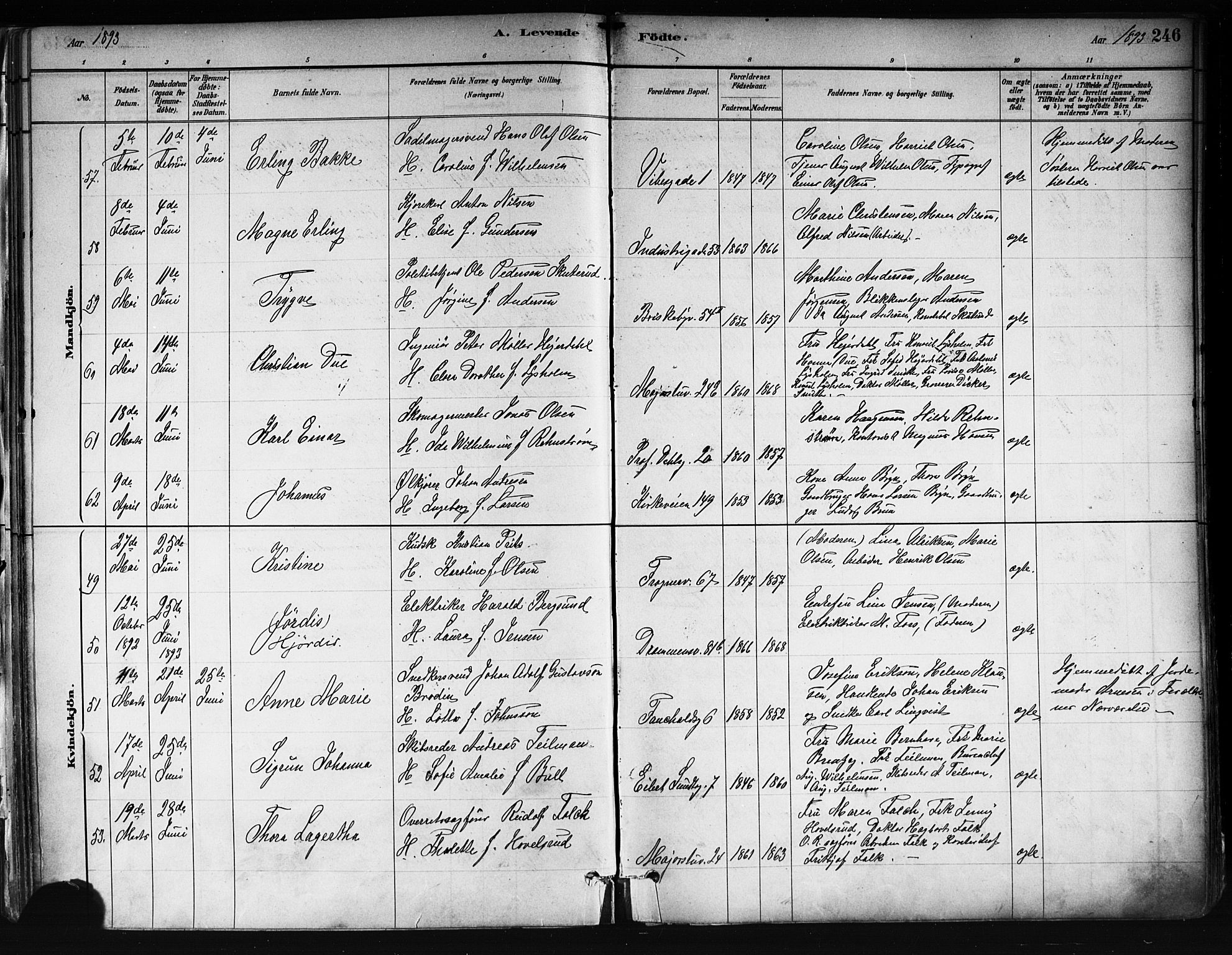 Uranienborg prestekontor Kirkebøker, SAO/A-10877/F/Fa/L0001: Parish register (official) no. 1, 1880-1895, p. 246