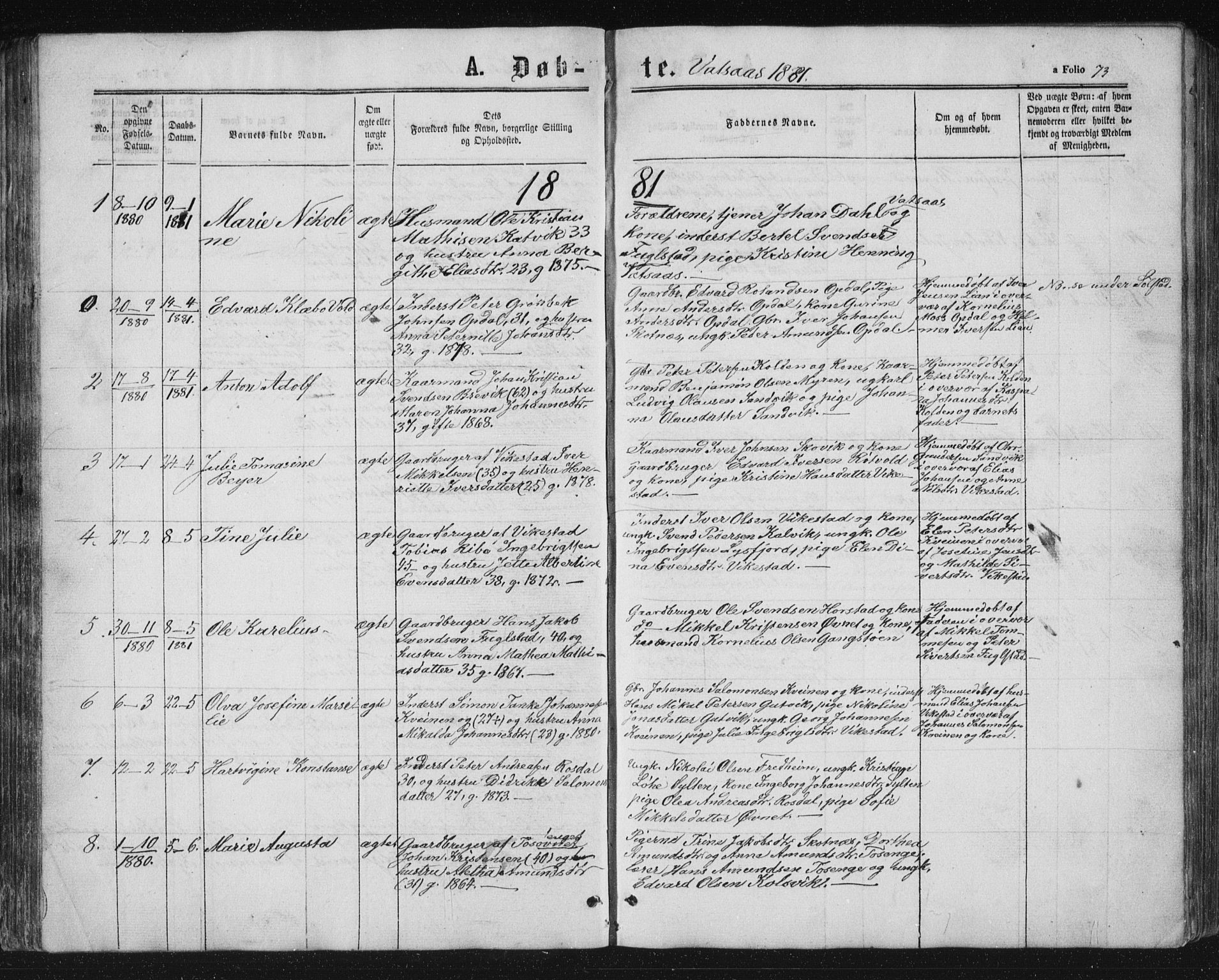 Ministerialprotokoller, klokkerbøker og fødselsregistre - Nordland, AV/SAT-A-1459/810/L0158: Parish register (copy) no. 810C02 /1, 1863-1883, p. 73