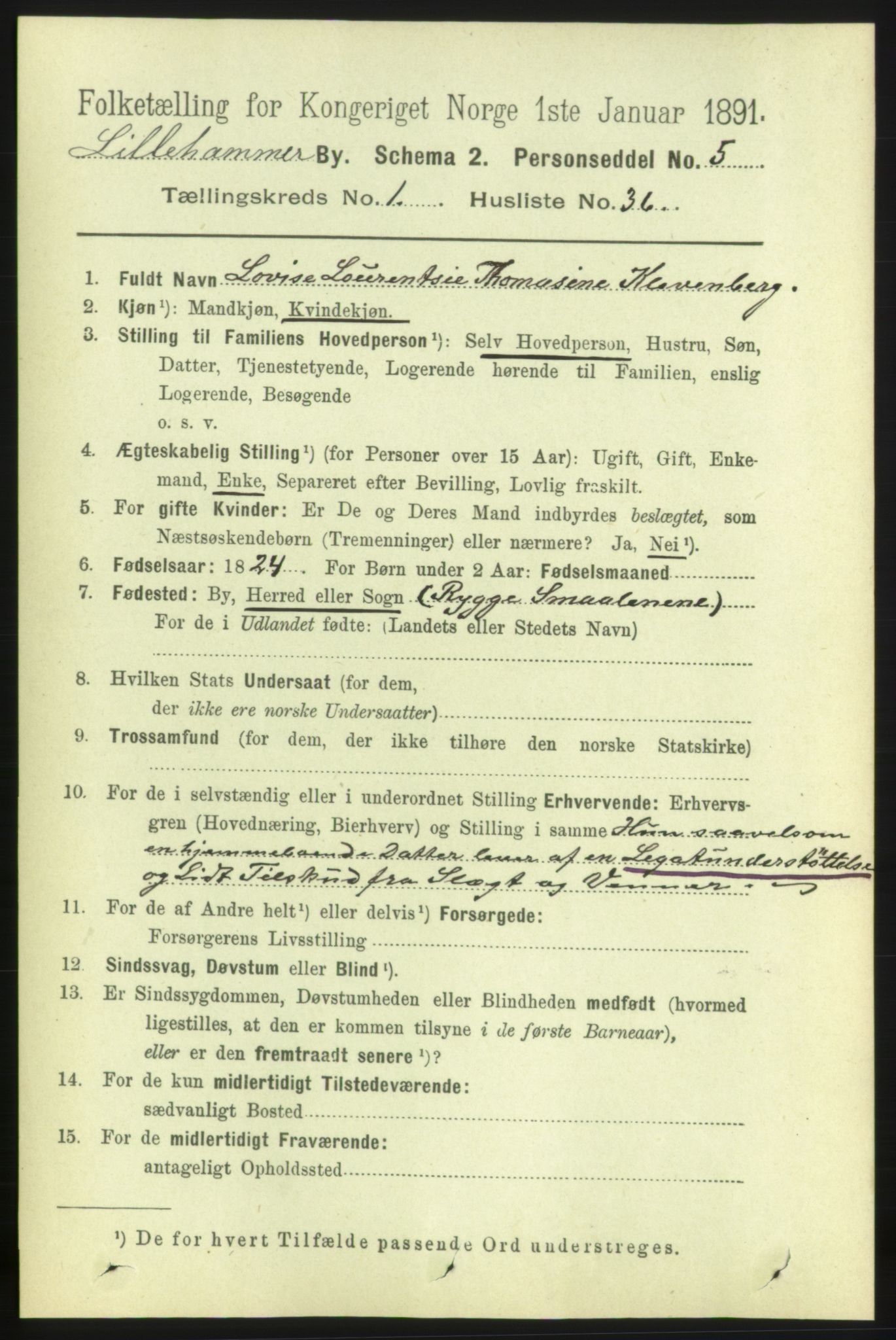 RA, 1891 census for 0501 Lillehammer, 1891, p. 906
