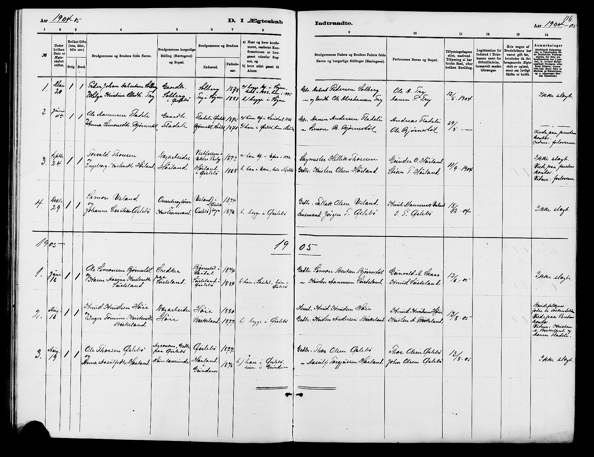 Holum sokneprestkontor, AV/SAK-1111-0022/F/Fb/Fbc/L0003: Parish register (copy) no. B 3, 1882-1908, p. 116