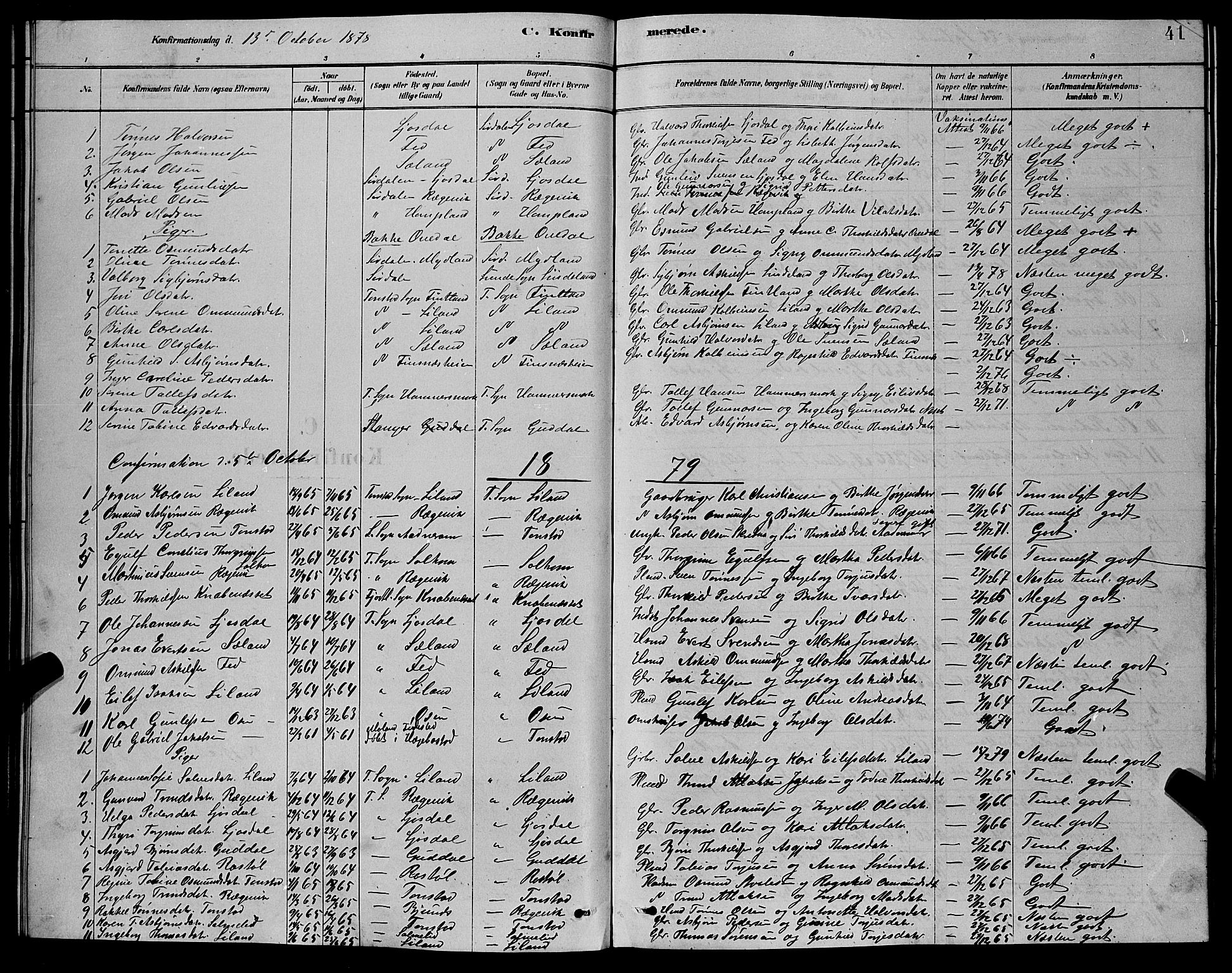 Sirdal sokneprestkontor, AV/SAK-1111-0036/F/Fb/Fbb/L0003: Parish register (copy) no. B 3, 1878-1894, p. 41