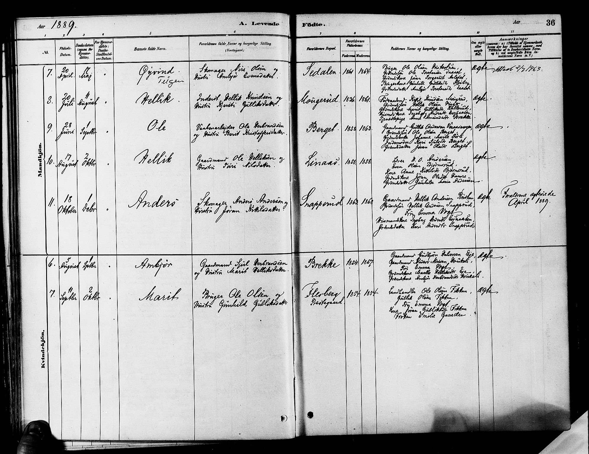 Flesberg kirkebøker, SAKO/A-18/F/Fa/L0008: Parish register (official) no. I 8, 1879-1899, p. 36