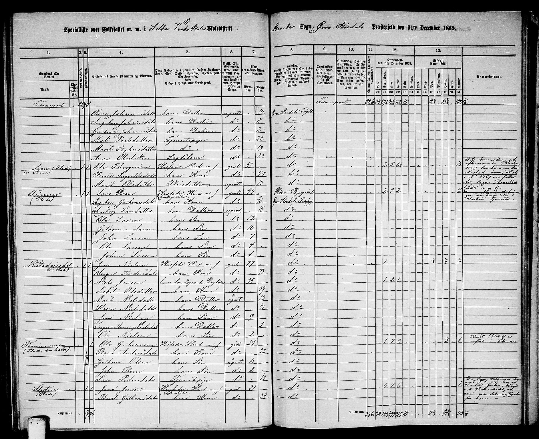 RA, 1865 census for Øvre Stjørdal, 1865, p. 184