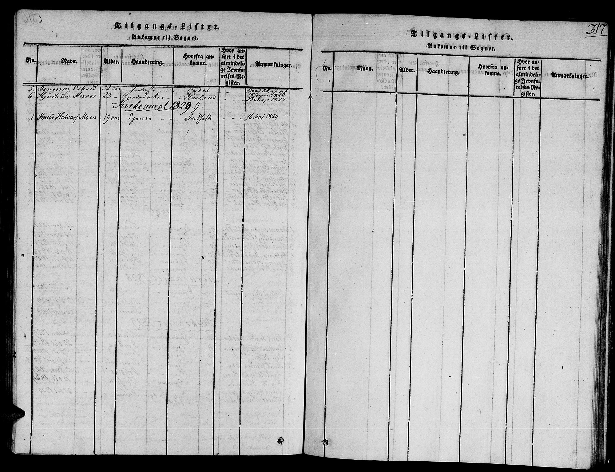 Ministerialprotokoller, klokkerbøker og fødselsregistre - Sør-Trøndelag, SAT/A-1456/672/L0854: Parish register (official) no. 672A06 /2, 1816-1829, p. 317