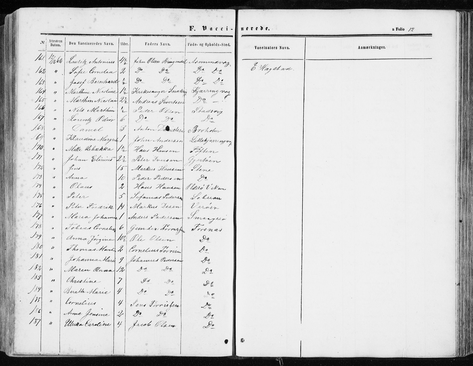 Ministerialprotokoller, klokkerbøker og fødselsregistre - Sør-Trøndelag, AV/SAT-A-1456/634/L0531: Parish register (official) no. 634A07, 1861-1870, p. 12