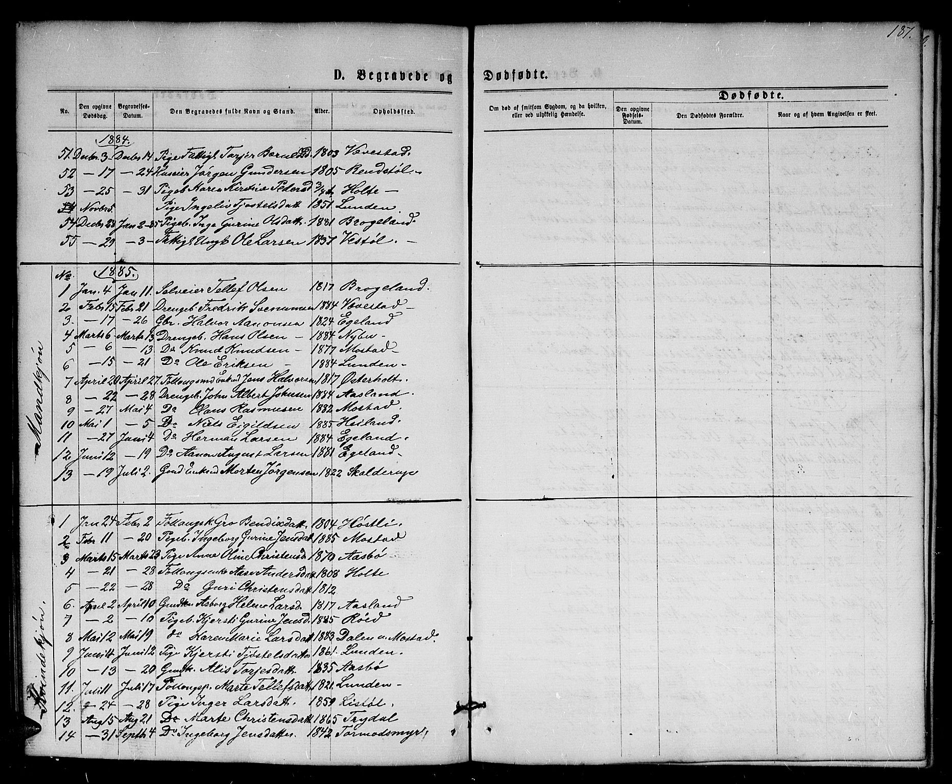 Gjerstad sokneprestkontor, SAK/1111-0014/F/Fb/Fba/L0006: Parish register (copy) no. B 6, 1868-1890, p. 187
