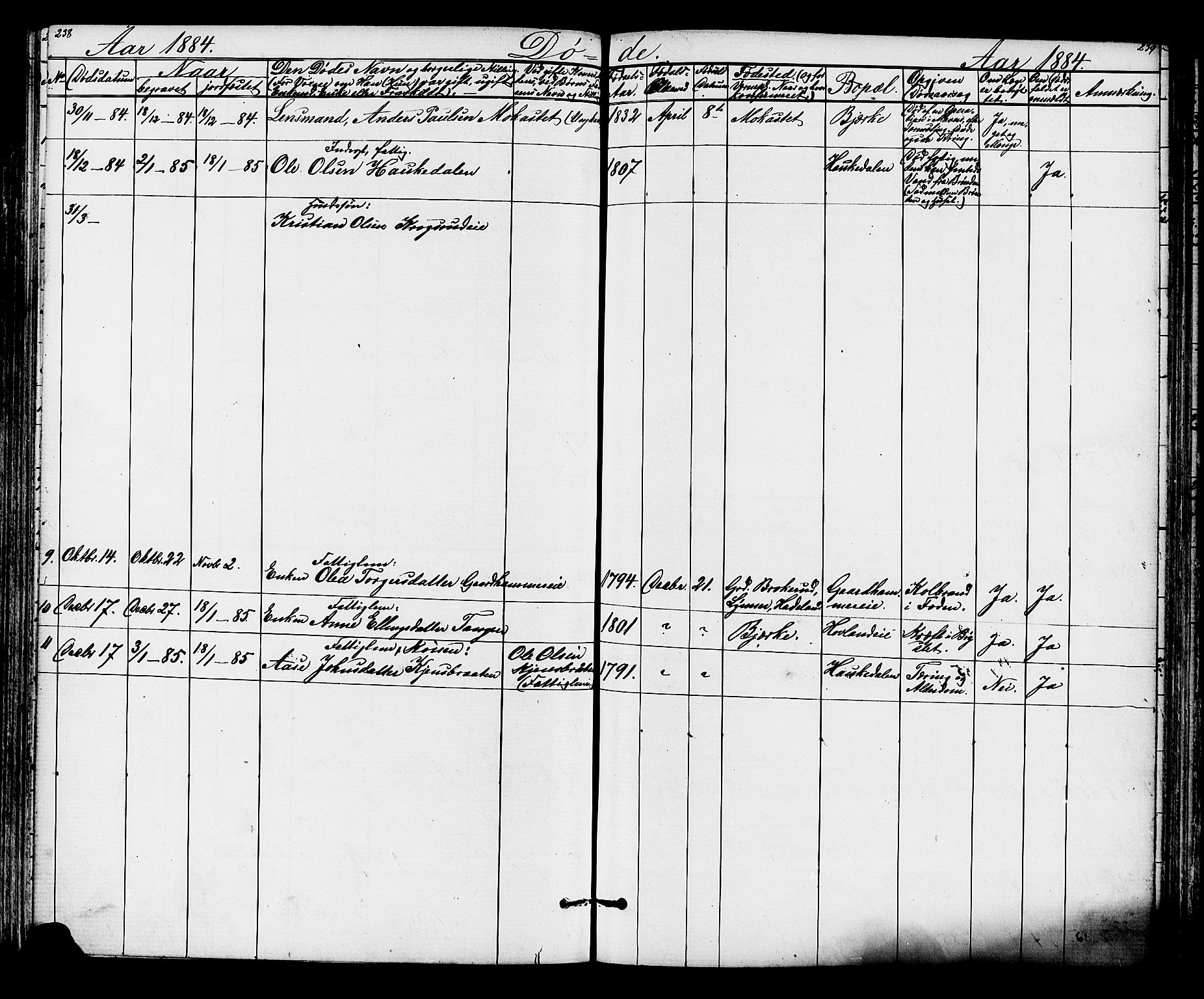 Lunder kirkebøker, AV/SAKO-A-629/G/Ga/L0003a: Parish register (copy) no. I 3, 1869-1888, p. 238-239