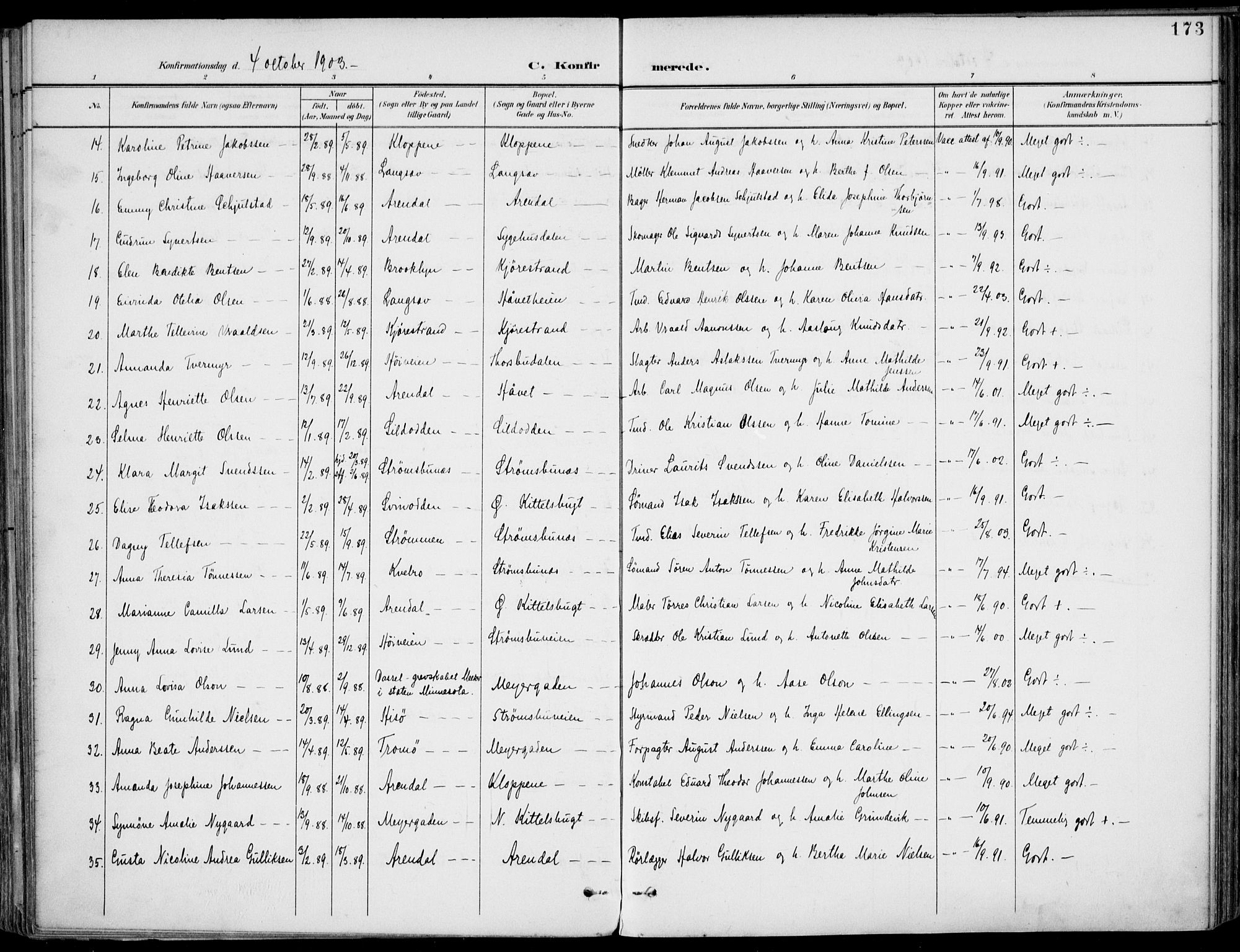 Barbu sokneprestkontor, AV/SAK-1111-0003/F/Fa/L0005: Parish register (official) no. A 5, 1899-1909, p. 173