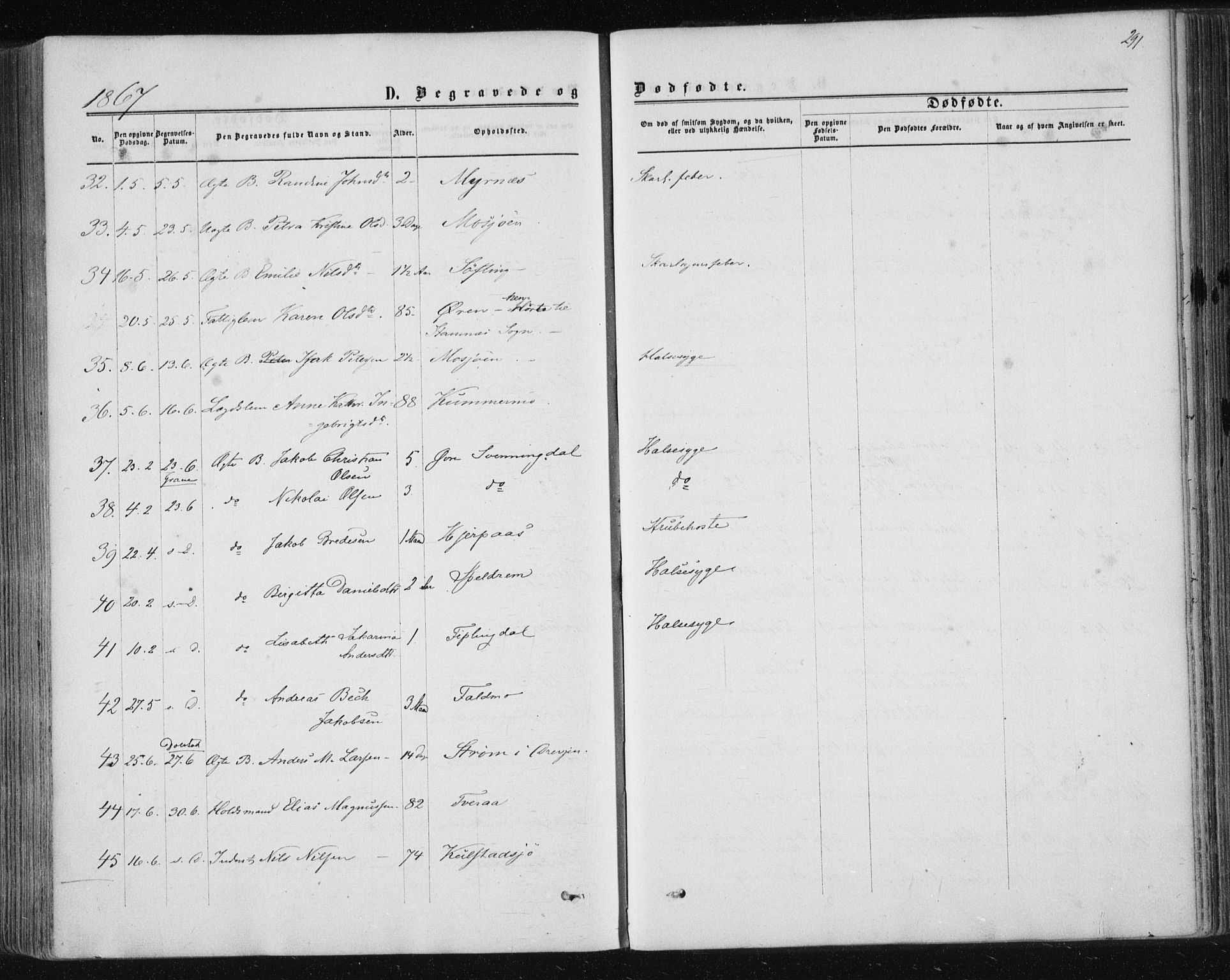 Ministerialprotokoller, klokkerbøker og fødselsregistre - Nordland, AV/SAT-A-1459/820/L0294: Parish register (official) no. 820A15, 1866-1879, p. 291