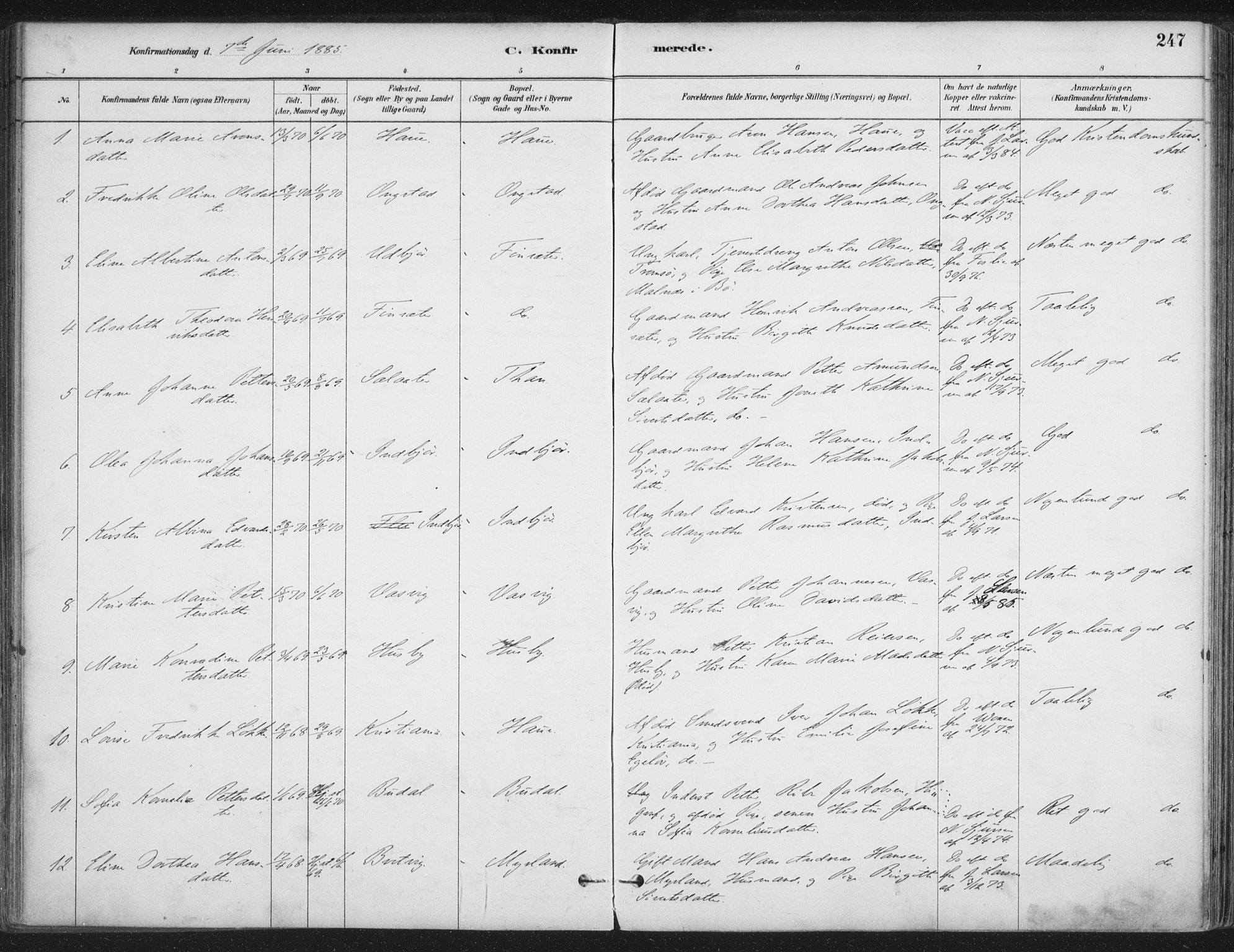 Ministerialprotokoller, klokkerbøker og fødselsregistre - Nordland, SAT/A-1459/888/L1244: Parish register (official) no. 888A10, 1880-1890, p. 247