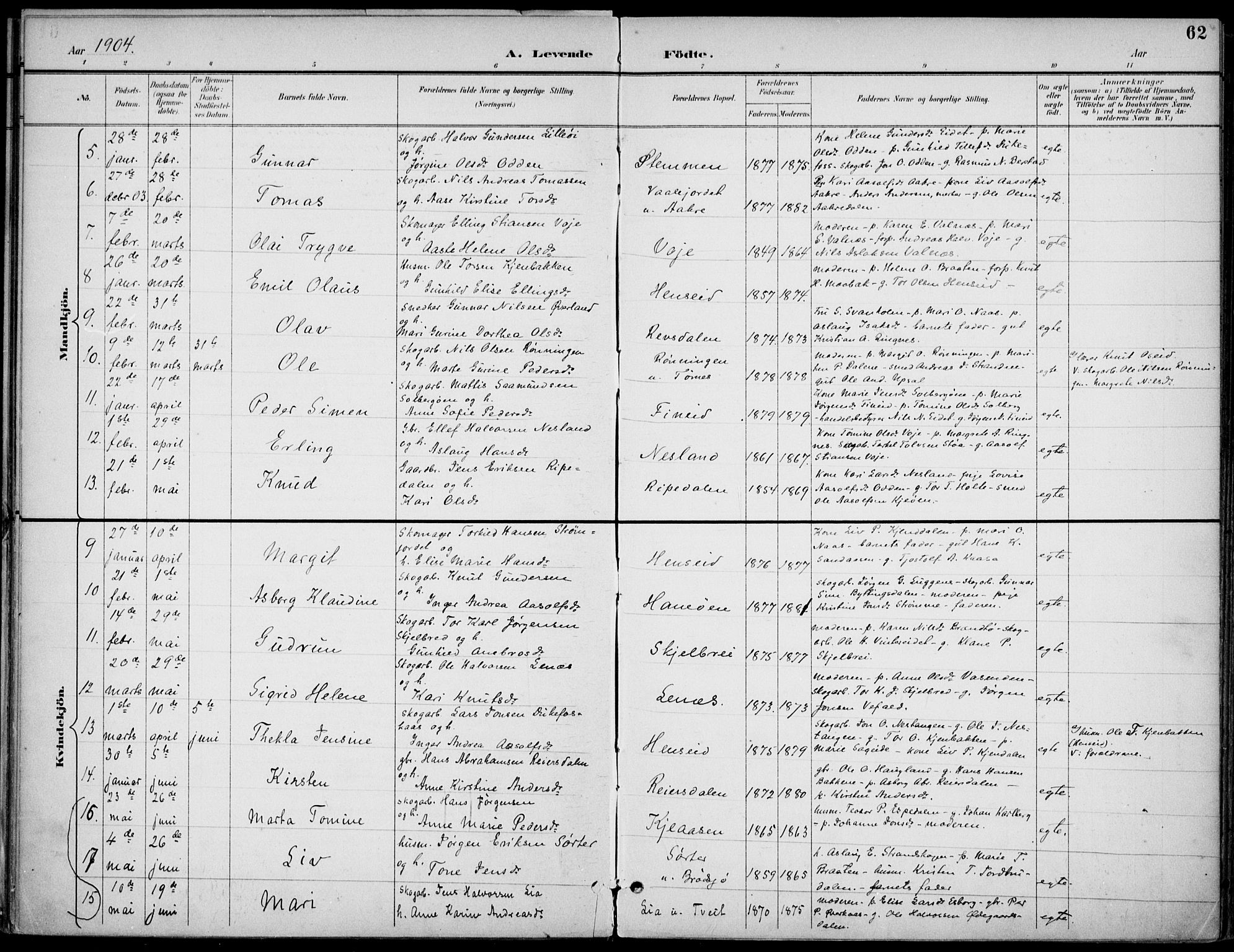 Drangedal kirkebøker, SAKO/A-258/F/Fa/L0012: Parish register (official) no. 12, 1895-1905, p. 62