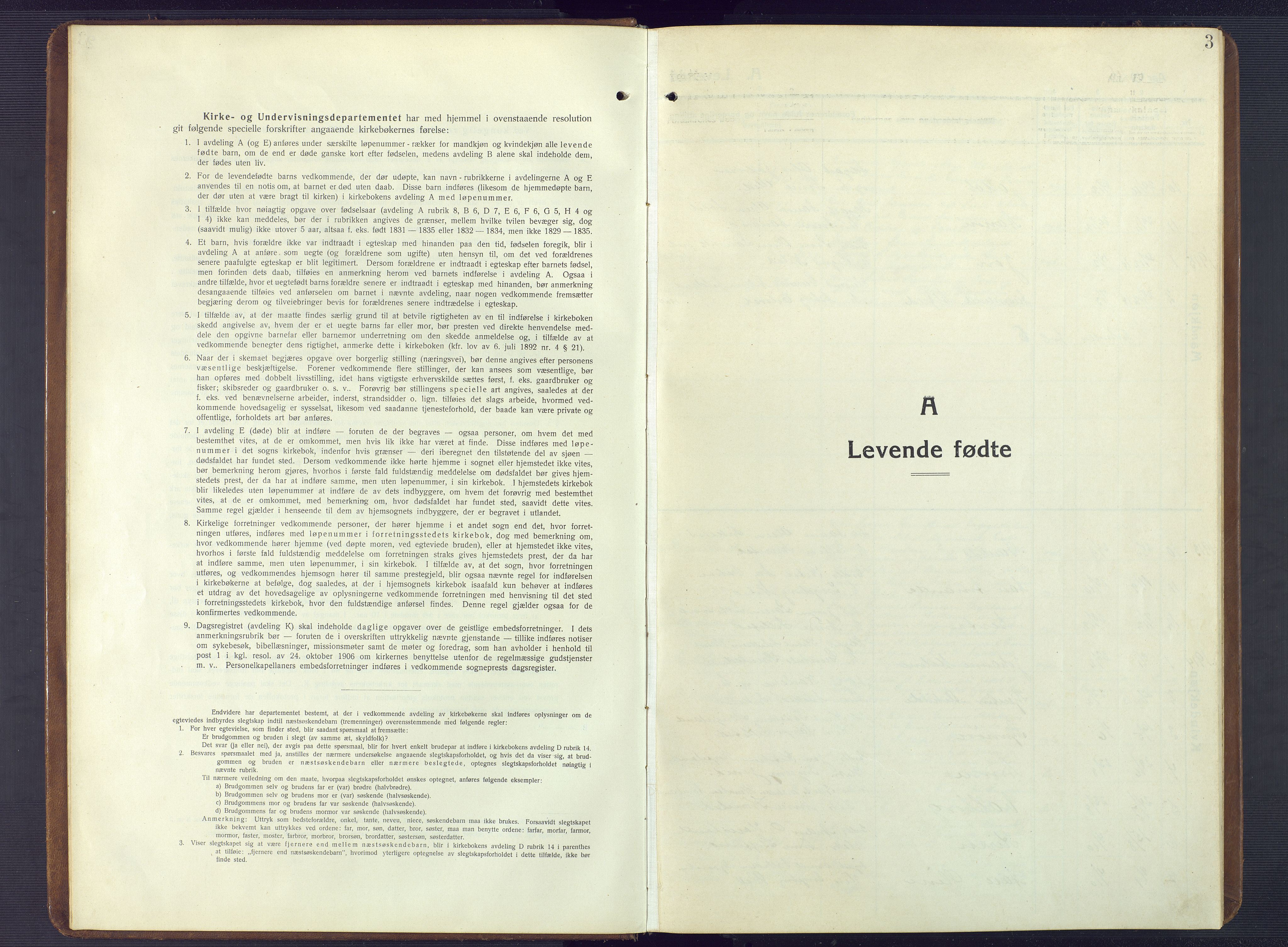 Herefoss sokneprestkontor, SAK/1111-0019/F/Fb/Fbc/L0004: Parish register (copy) no. B 4, 1914-1946, p. 3
