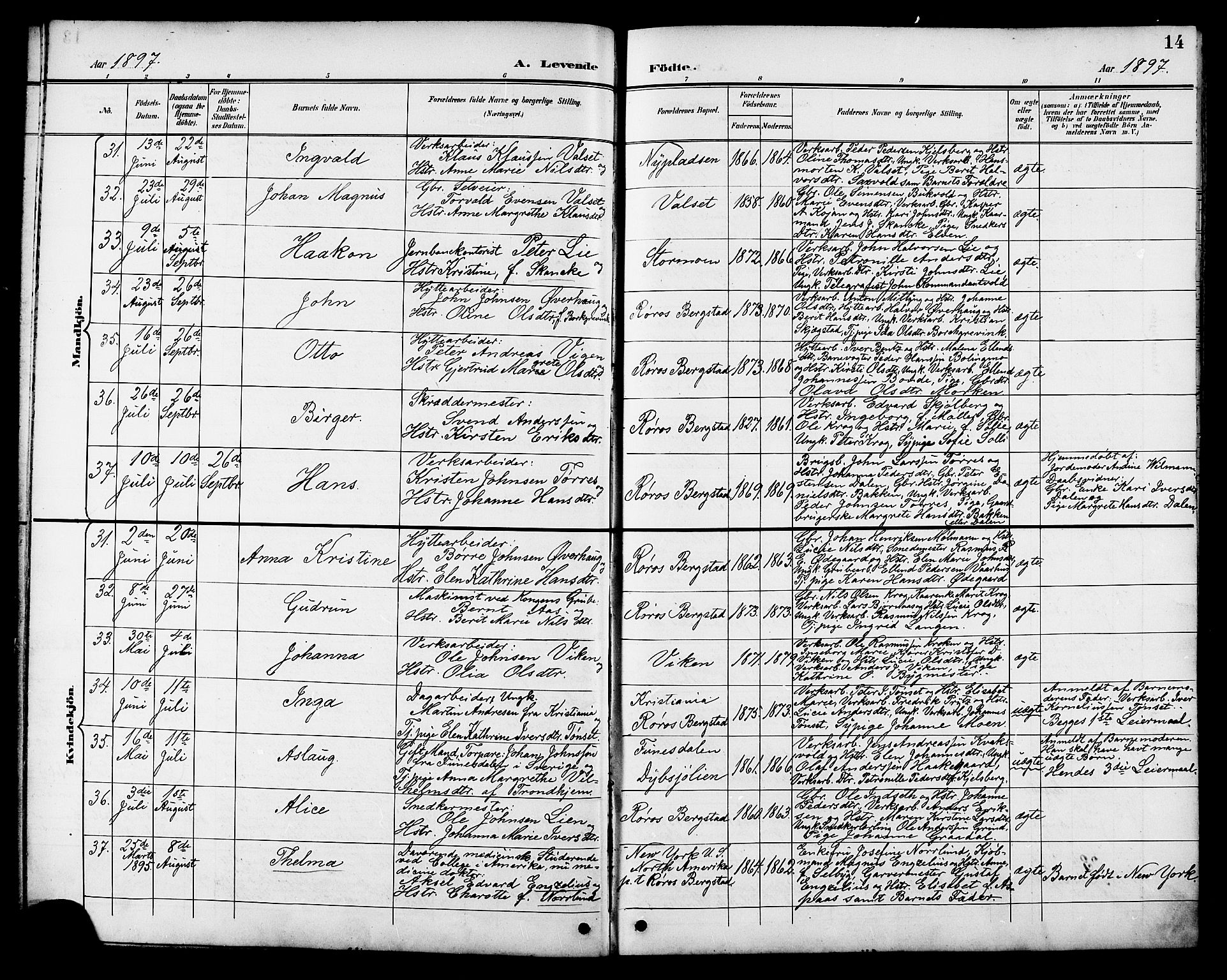Ministerialprotokoller, klokkerbøker og fødselsregistre - Sør-Trøndelag, AV/SAT-A-1456/681/L0941: Parish register (copy) no. 681C05, 1896-1905, p. 14