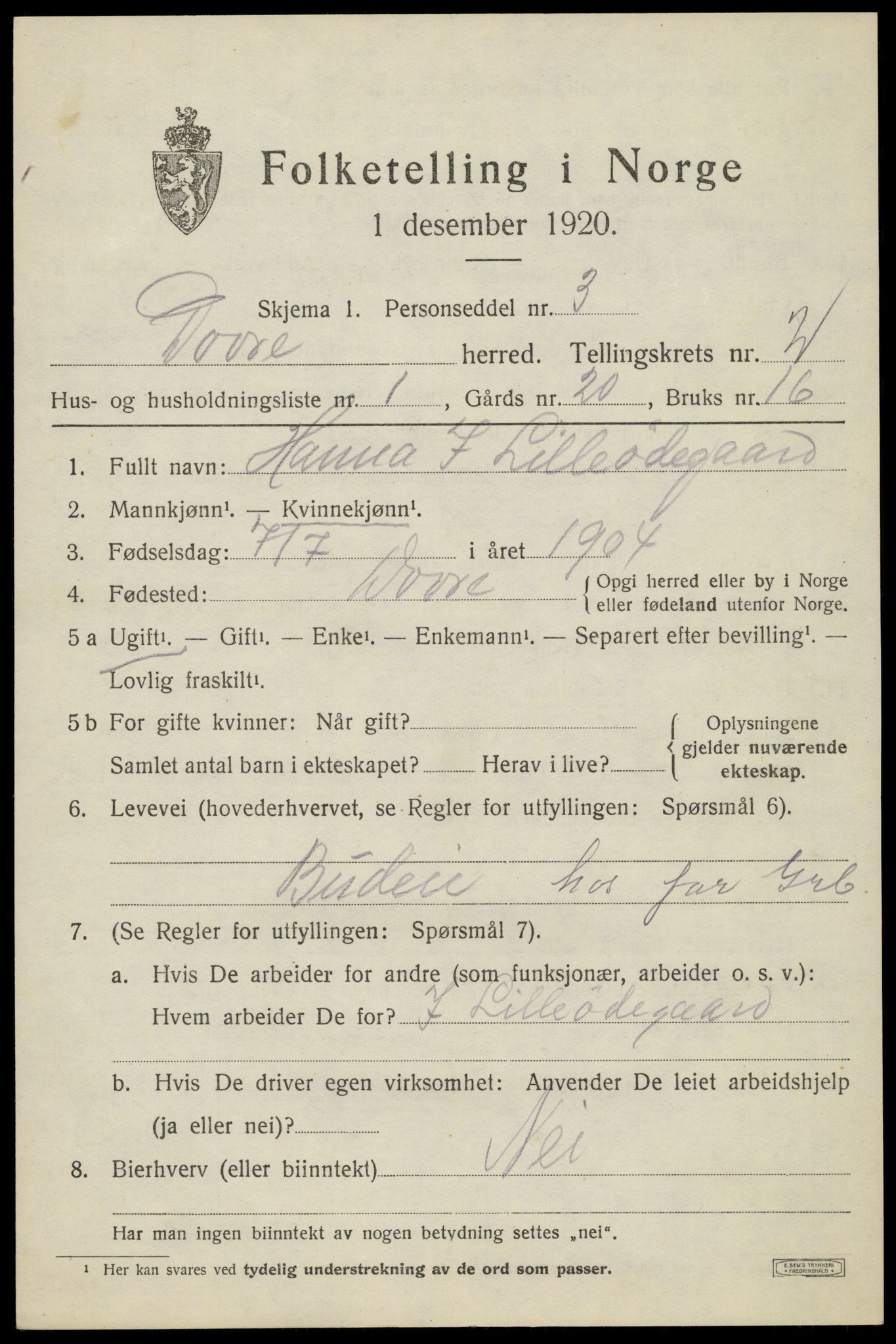 SAH, 1920 census for Dovre, 1920, p. 2406