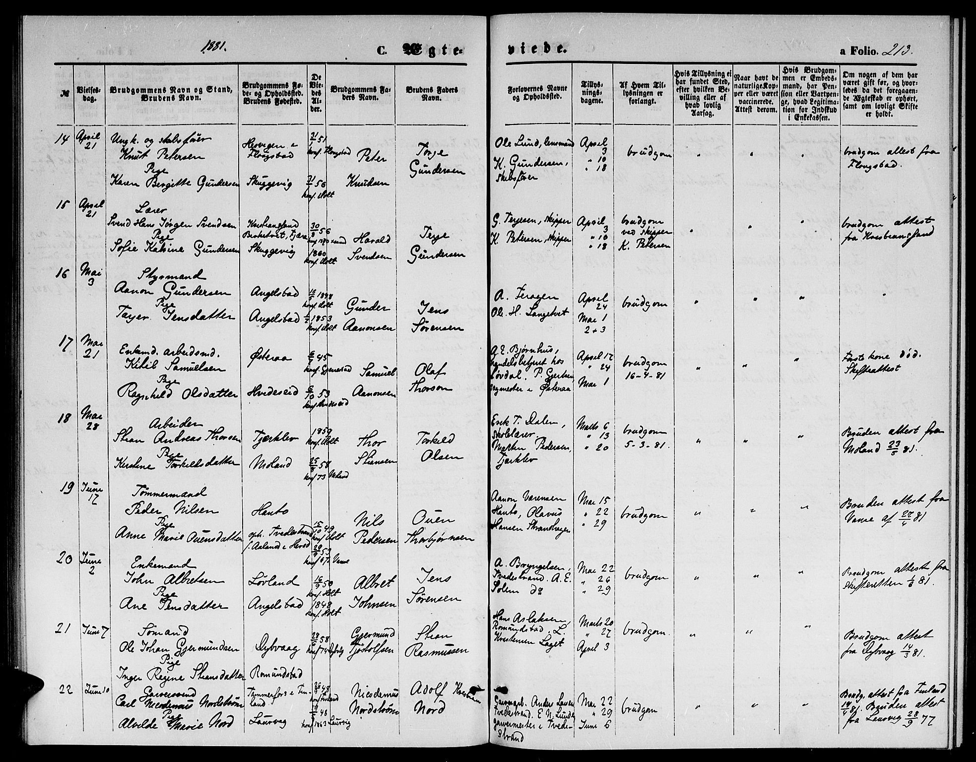 Holt sokneprestkontor, AV/SAK-1111-0021/F/Fb/L0009: Parish register (copy) no. B 9, 1871-1883, p. 213