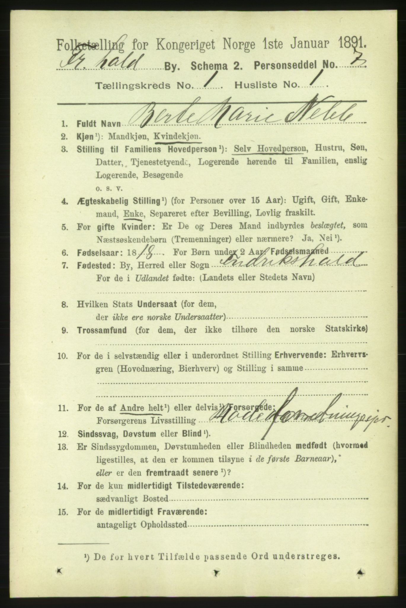 RA, 1891 census for 0101 Fredrikshald, 1891, p. 1965