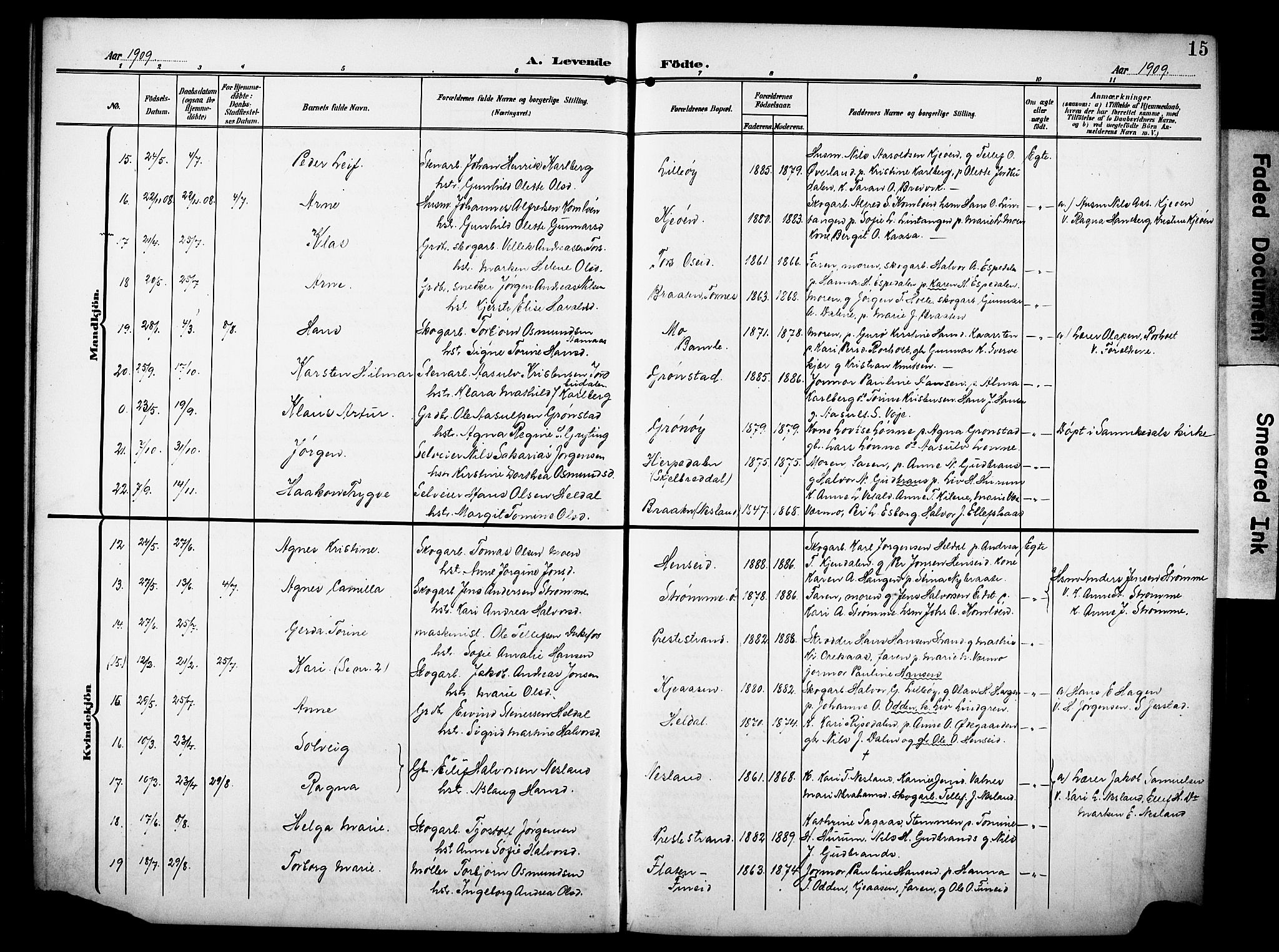 Drangedal kirkebøker, AV/SAKO-A-258/G/Ga/L0004: Parish register (copy) no. I 4, 1901-1933, p. 15