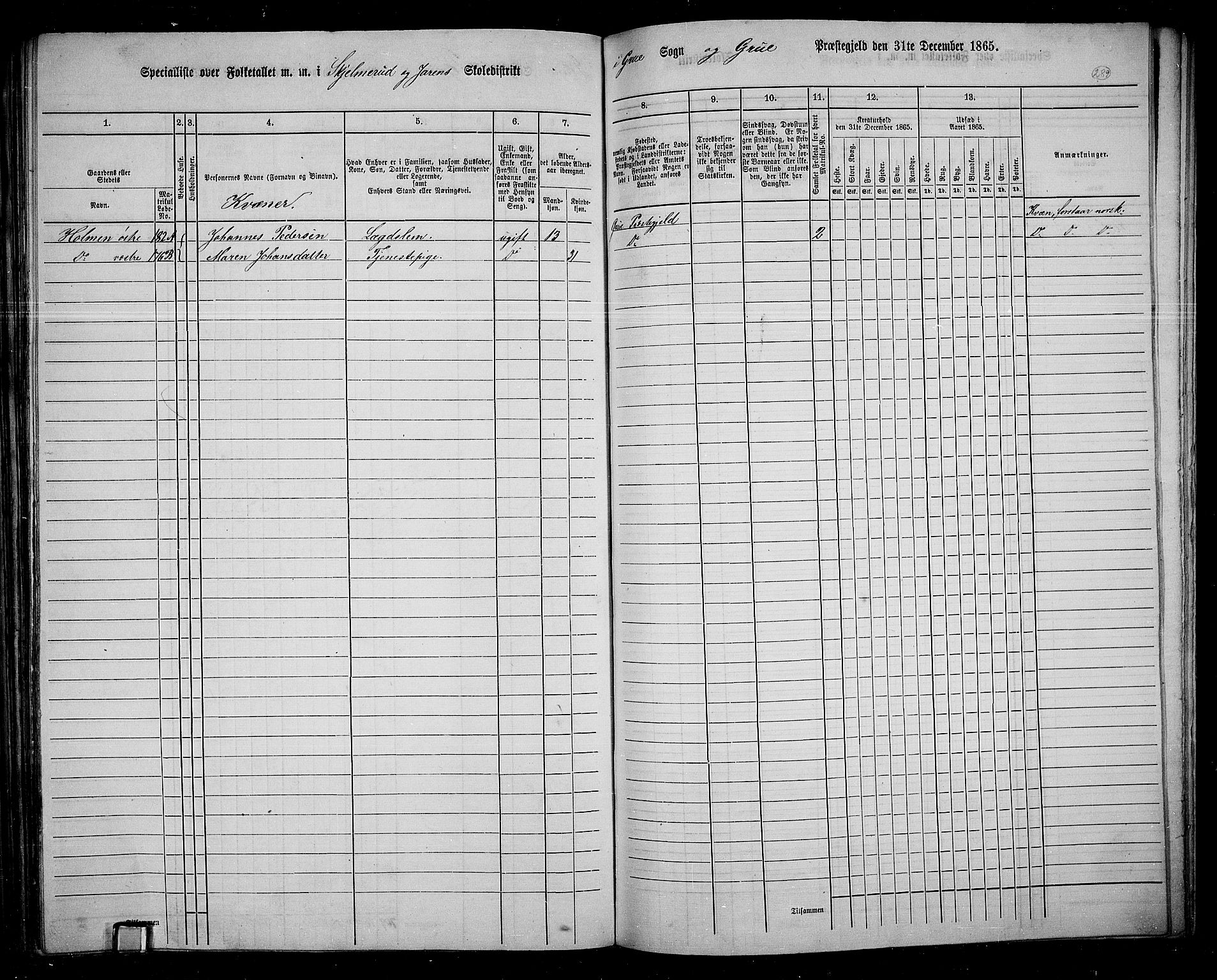 RA, 1865 census for Grue, 1865, p. 258