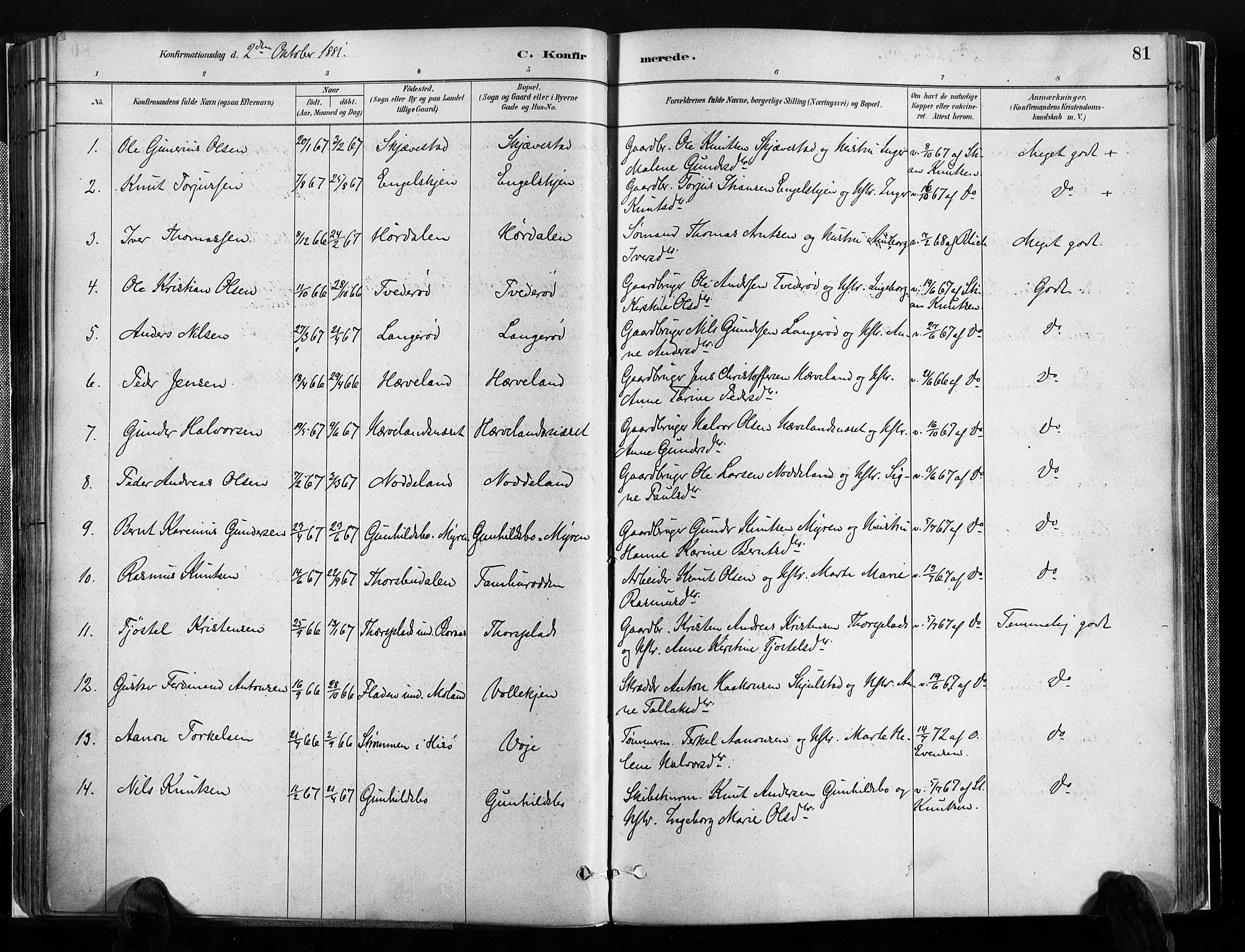 Austre Moland sokneprestkontor, SAK/1111-0001/F/Fa/Faa/L0010: Parish register (official) no. A 10, 1880-1904, p. 81
