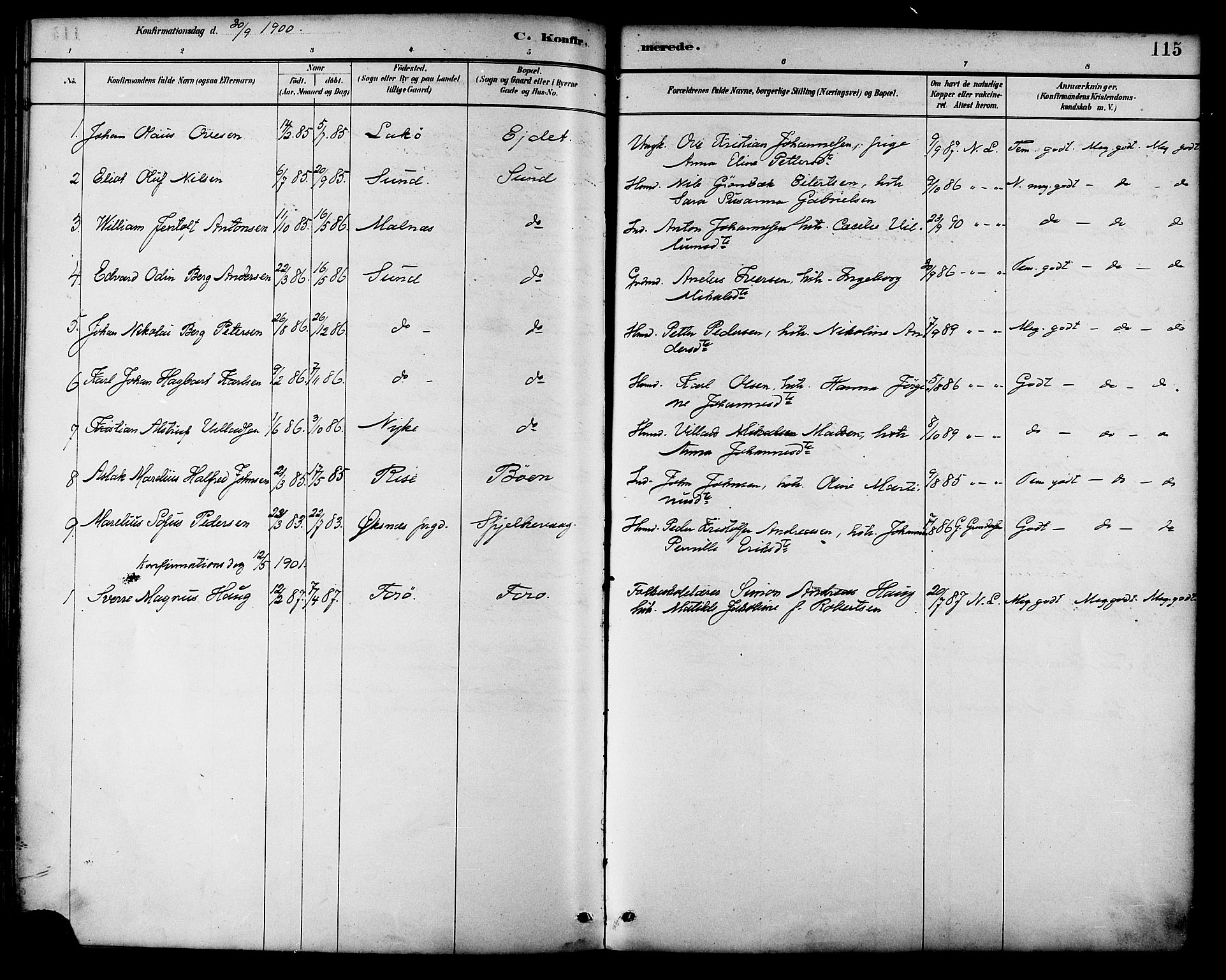 Ministerialprotokoller, klokkerbøker og fødselsregistre - Nordland, SAT/A-1459/892/L1320: Parish register (official) no. 892A01, 1886-1901, p. 115