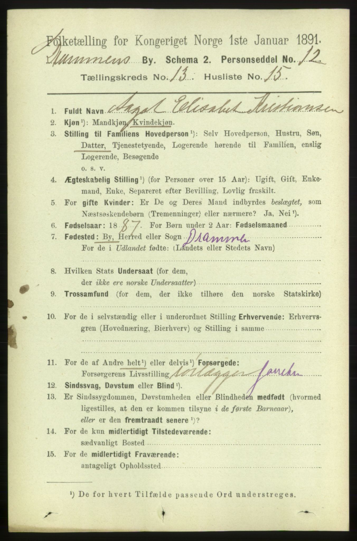 RA, 1891 census for 0602 Drammen, 1891, p. 9731