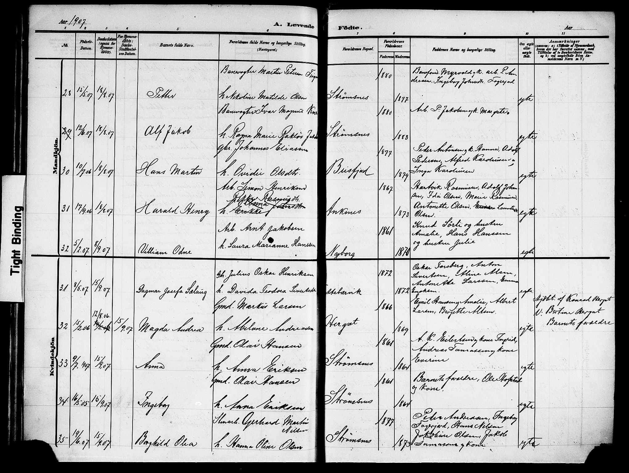 Ministerialprotokoller, klokkerbøker og fødselsregistre - Nordland, AV/SAT-A-1459/866/L0954: Parish register (copy) no. 866C03, 1905-1923