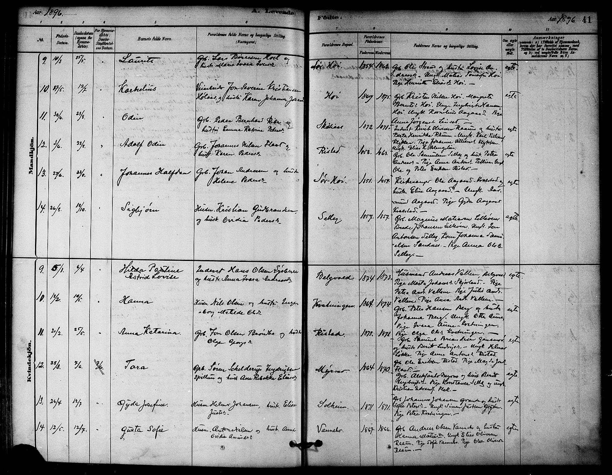 Ministerialprotokoller, klokkerbøker og fødselsregistre - Nord-Trøndelag, AV/SAT-A-1458/766/L0563: Parish register (official) no. 767A01, 1881-1899, p. 41